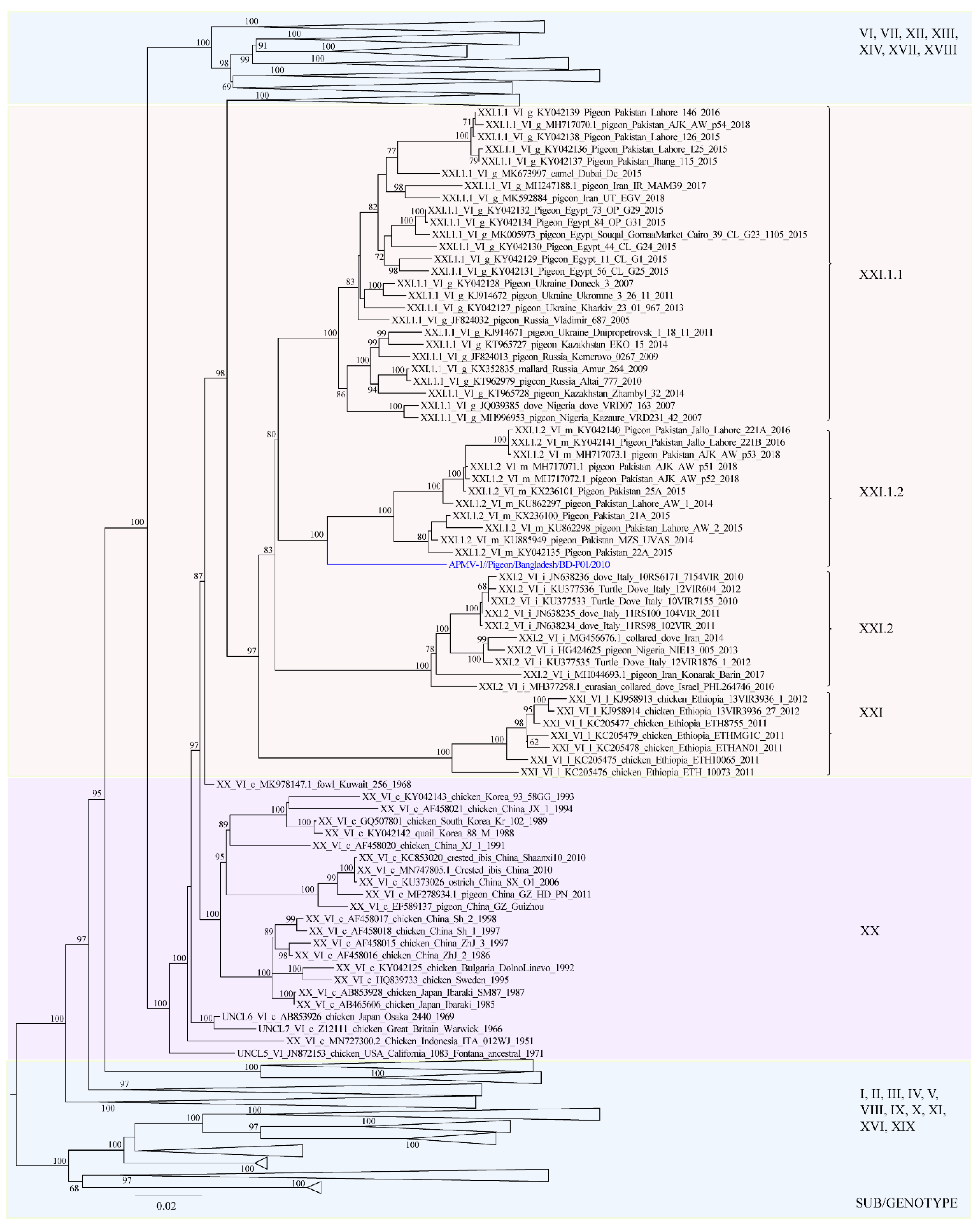Viruses 13 01520 g001