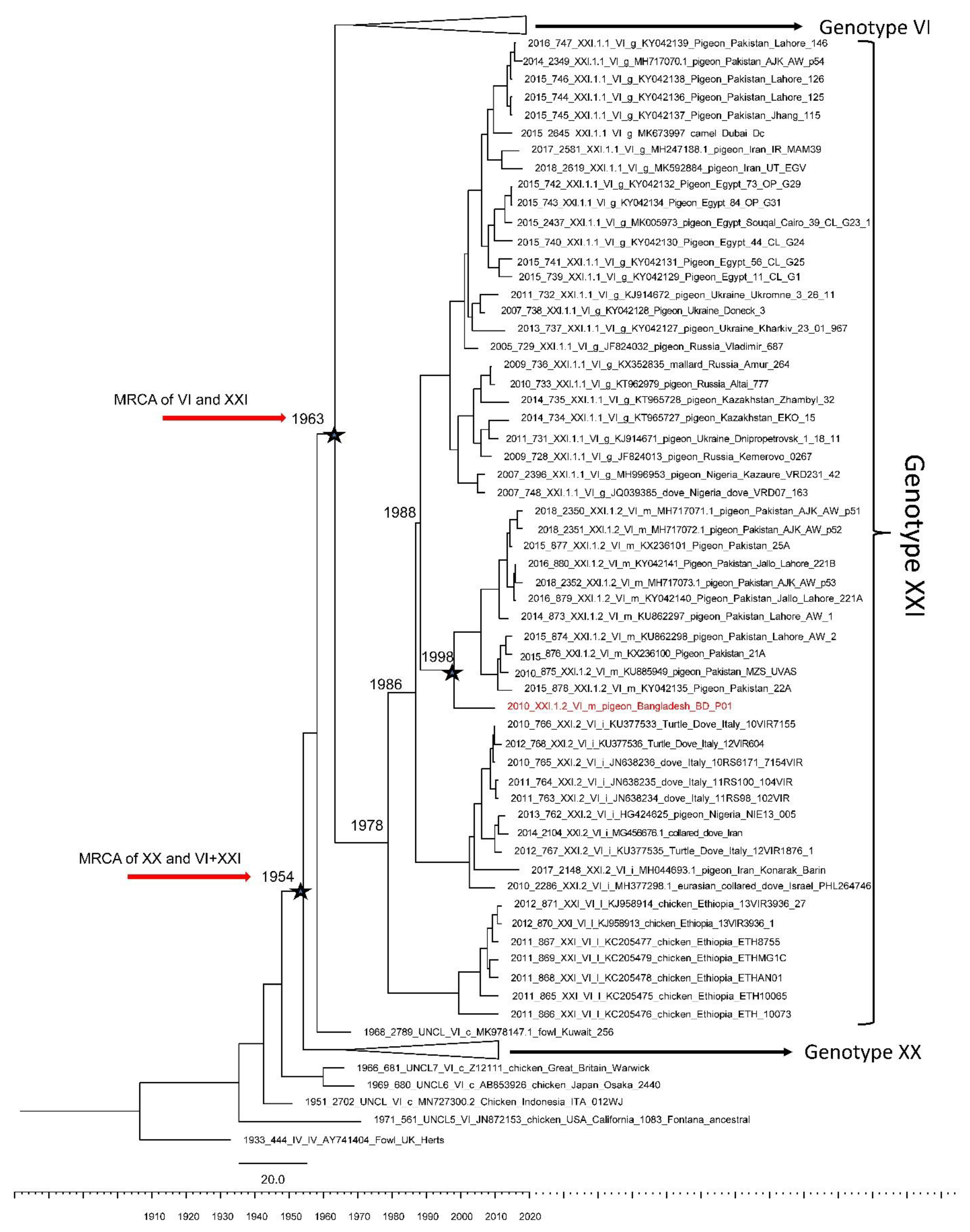 Viruses 13 01520 g002