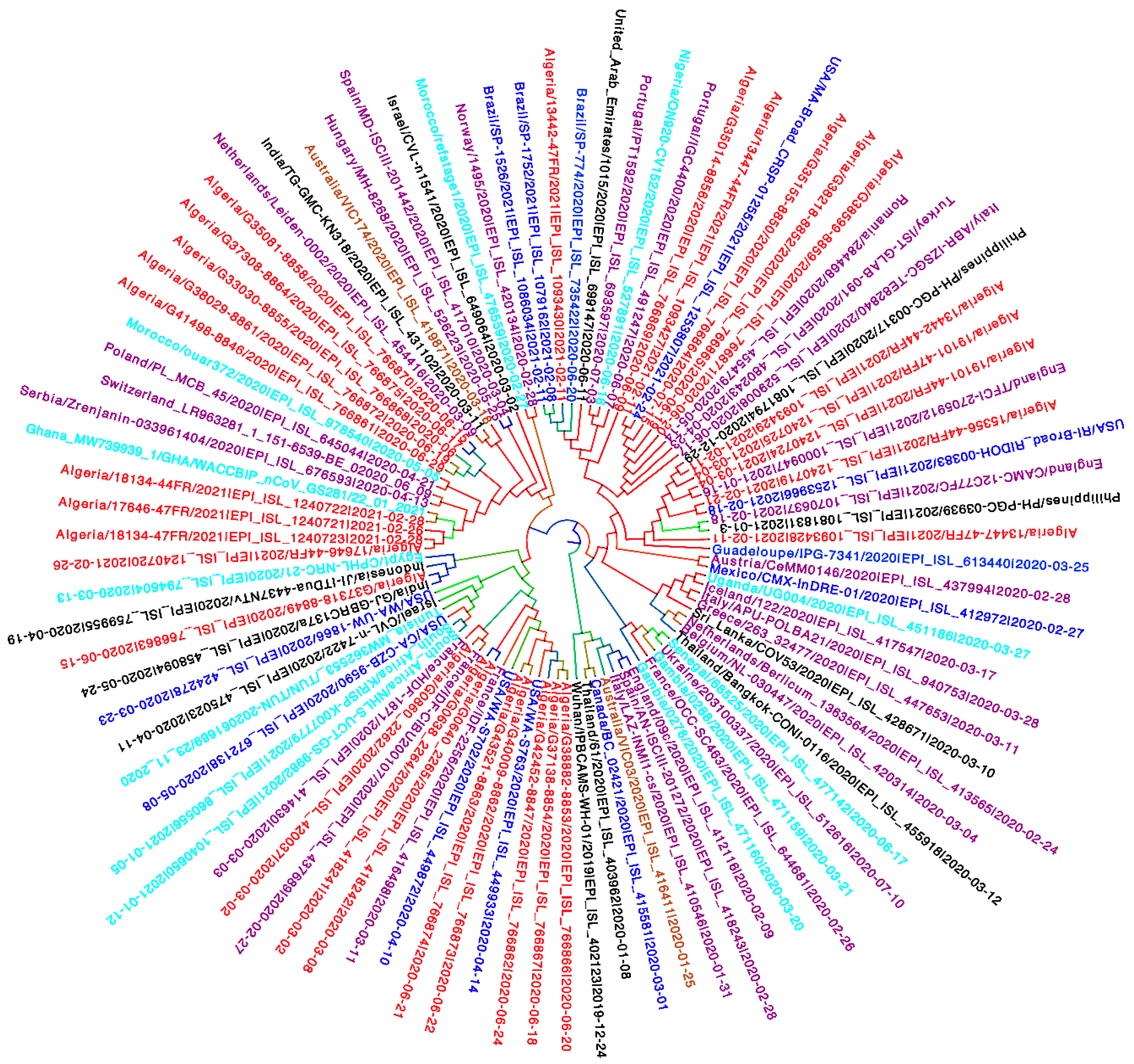 Viruses 13 01525 g001 Viruses 13 01525 g001