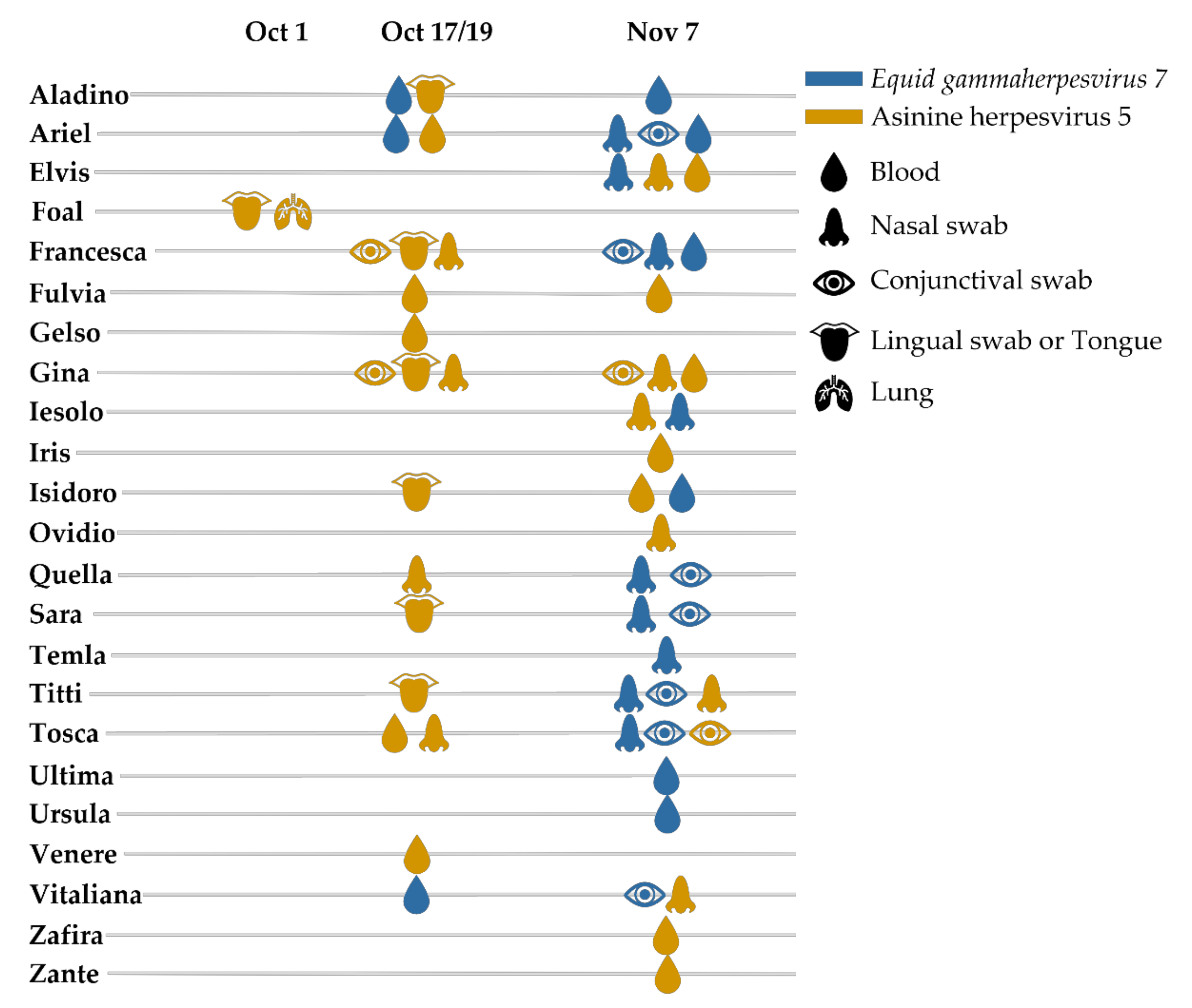 Viruses 13 01527 g002 Viruses 13 01527 g002