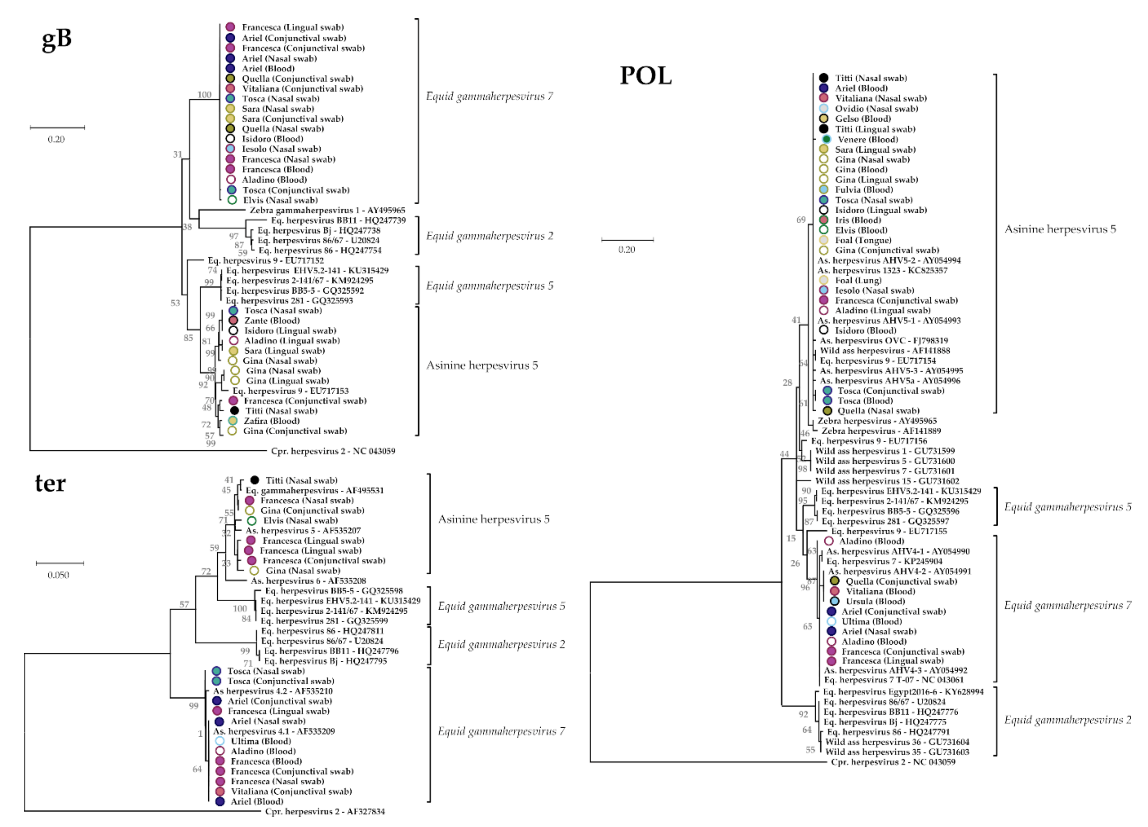 Viruses 13 01527 g003 Viruses 13 01527 g003