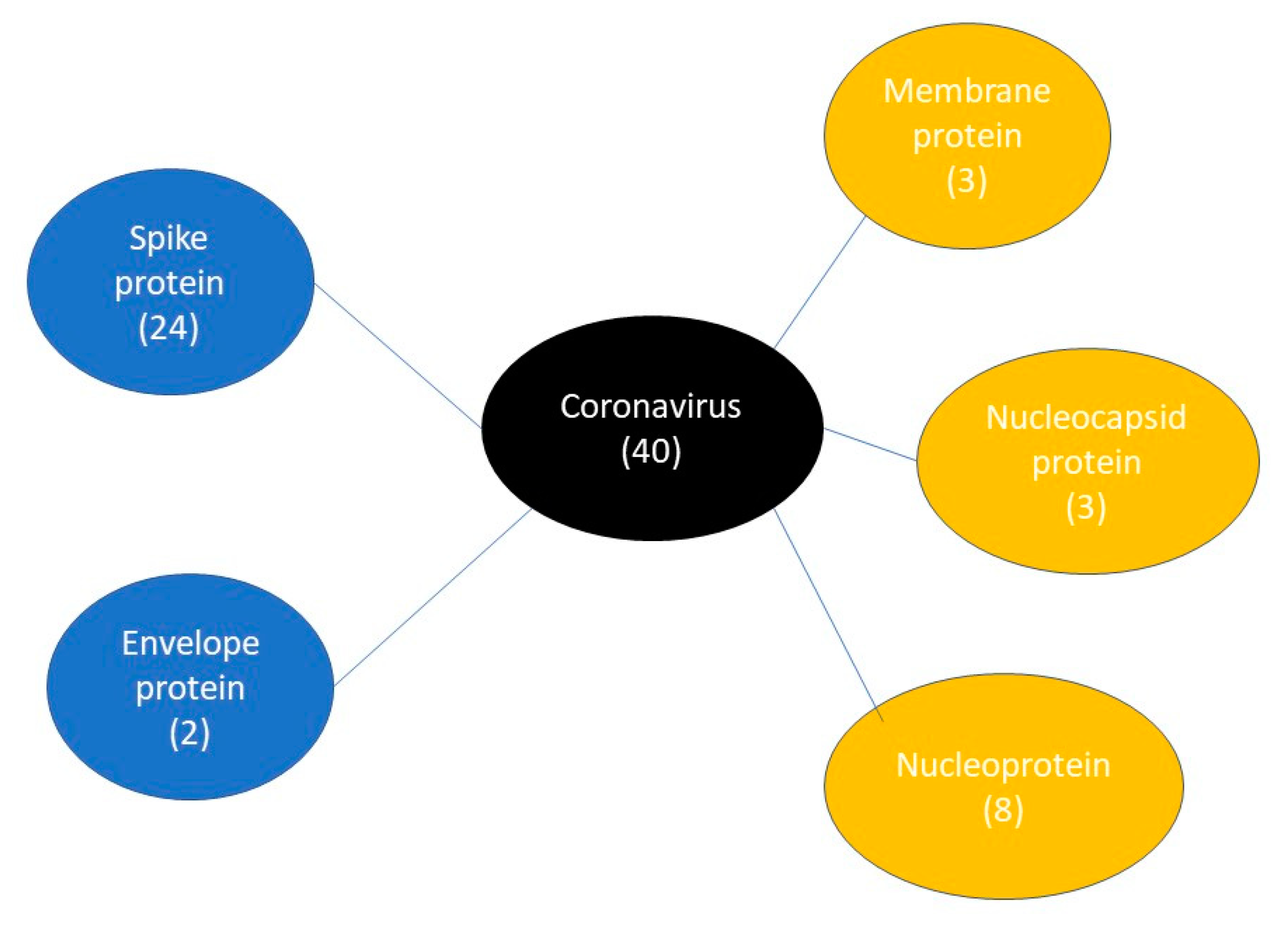 Viruses 13 01531 g004 550