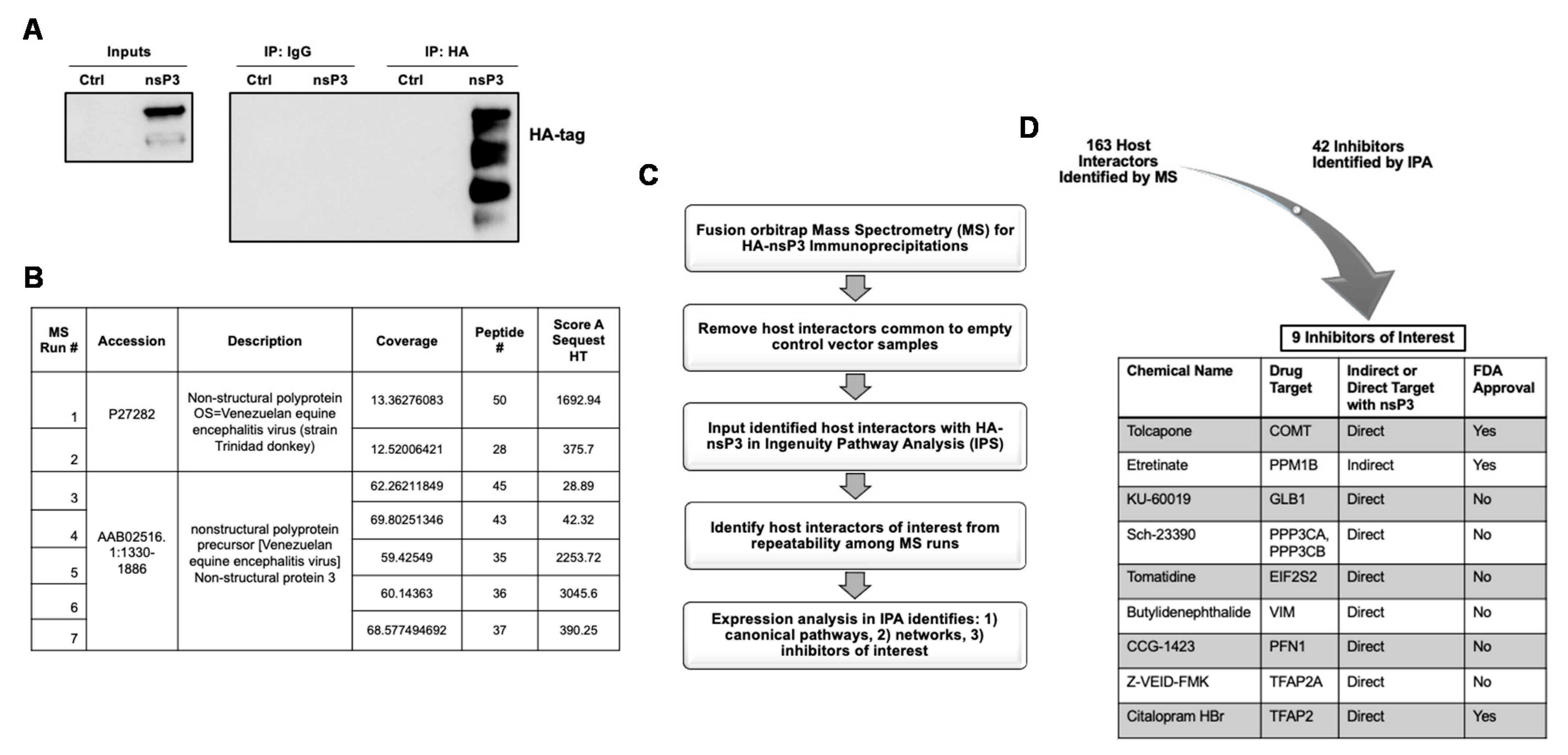 Viruses 13 01533 g001 Viruses 13 01533 g001