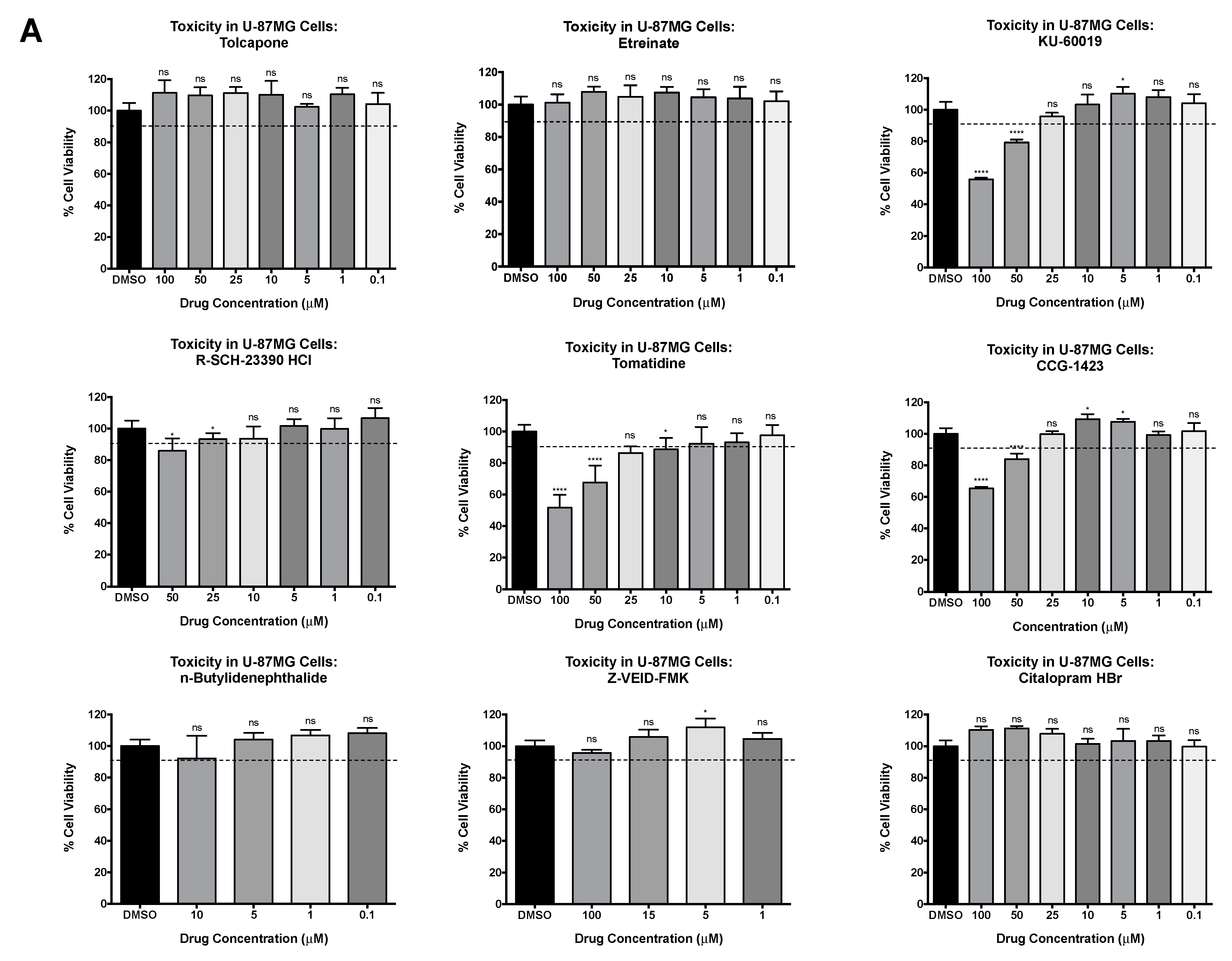 Viruses 13 01533 g002a Viruses 13 01533 g002a