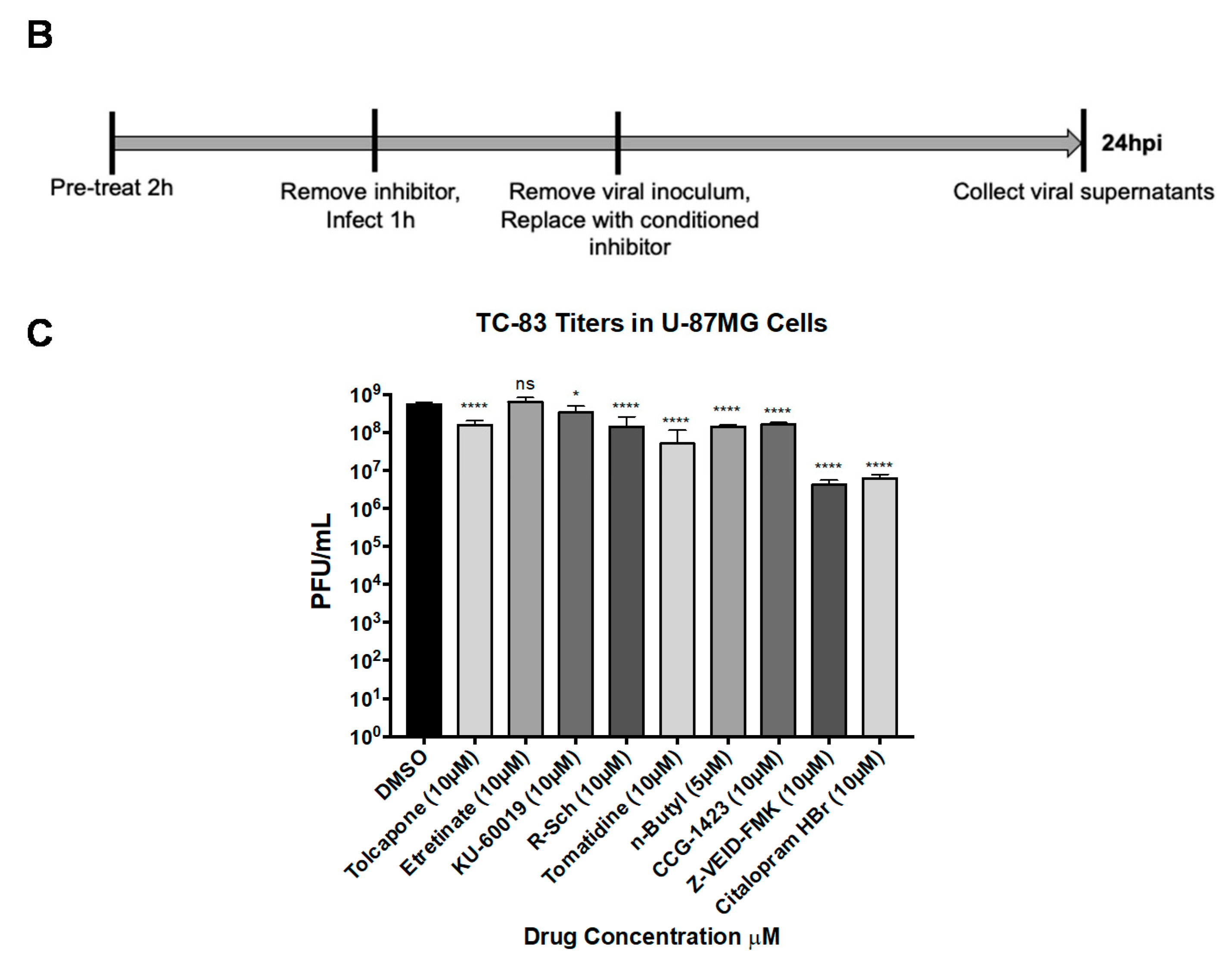Viruses 13 01533 g002b Viruses 13 01533 g002b