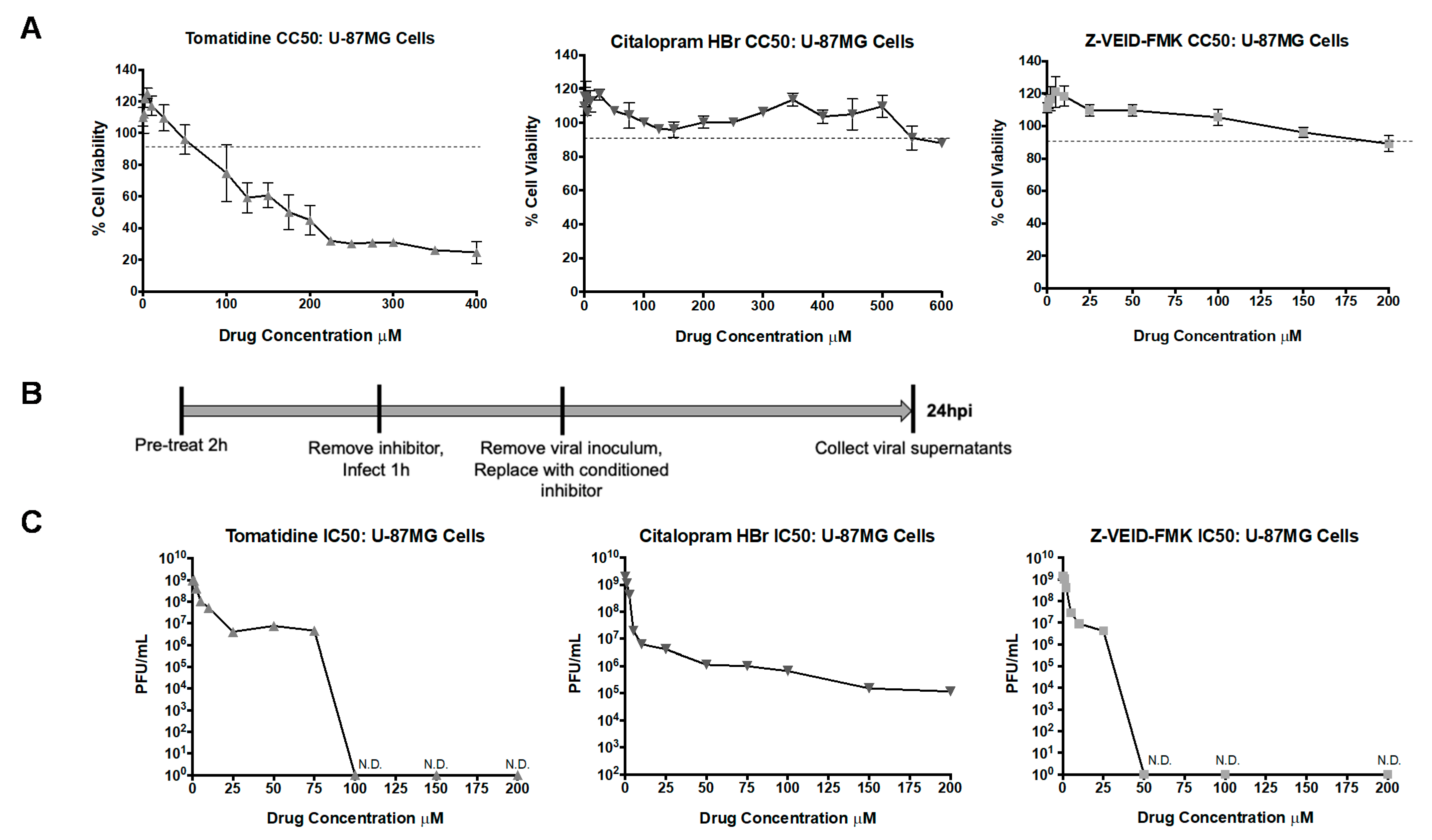 Viruses 13 01533 g004 Viruses 13 01533 g004
