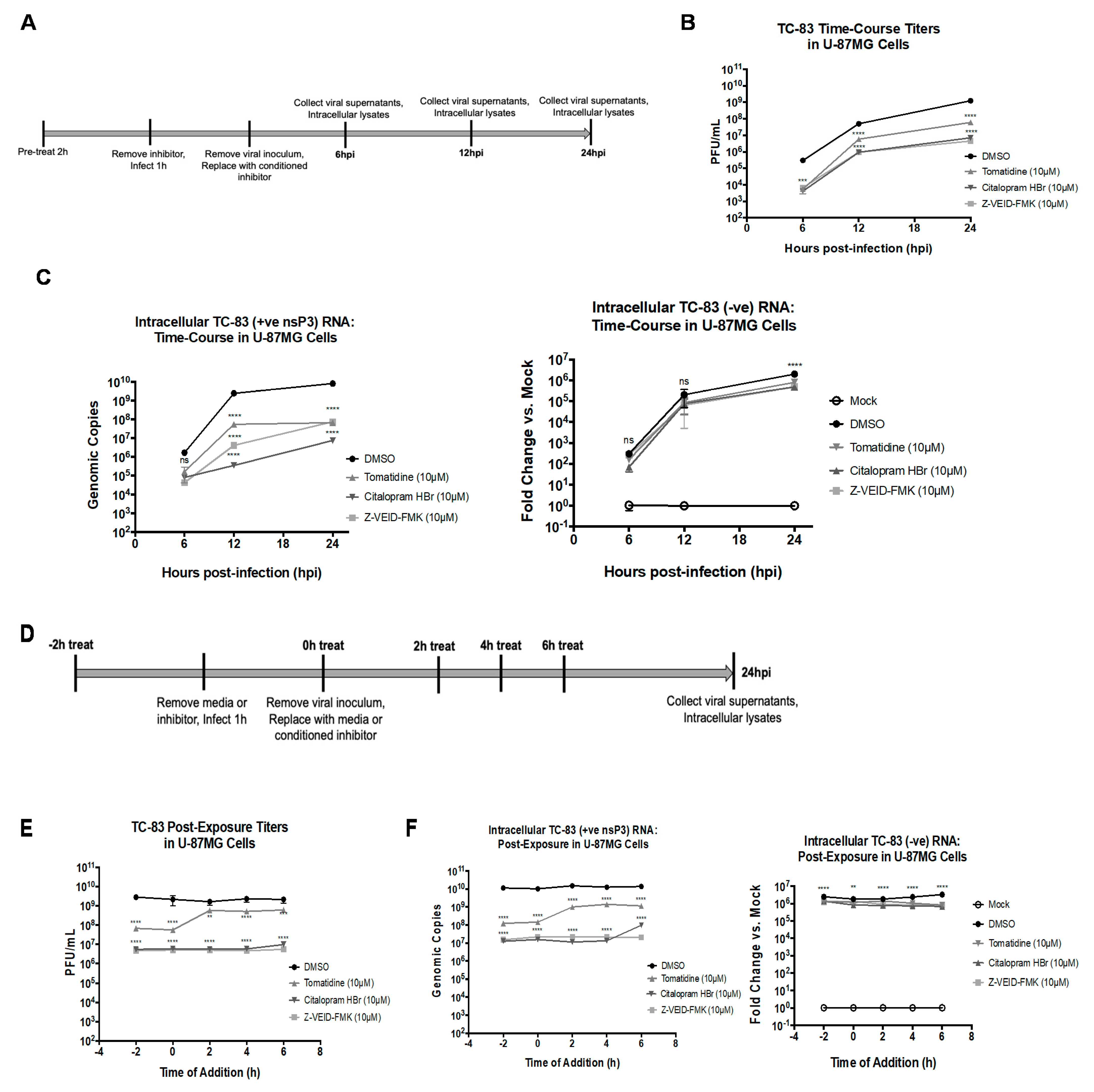 Viruses 13 01533 g005 Viruses 13 01533 g005