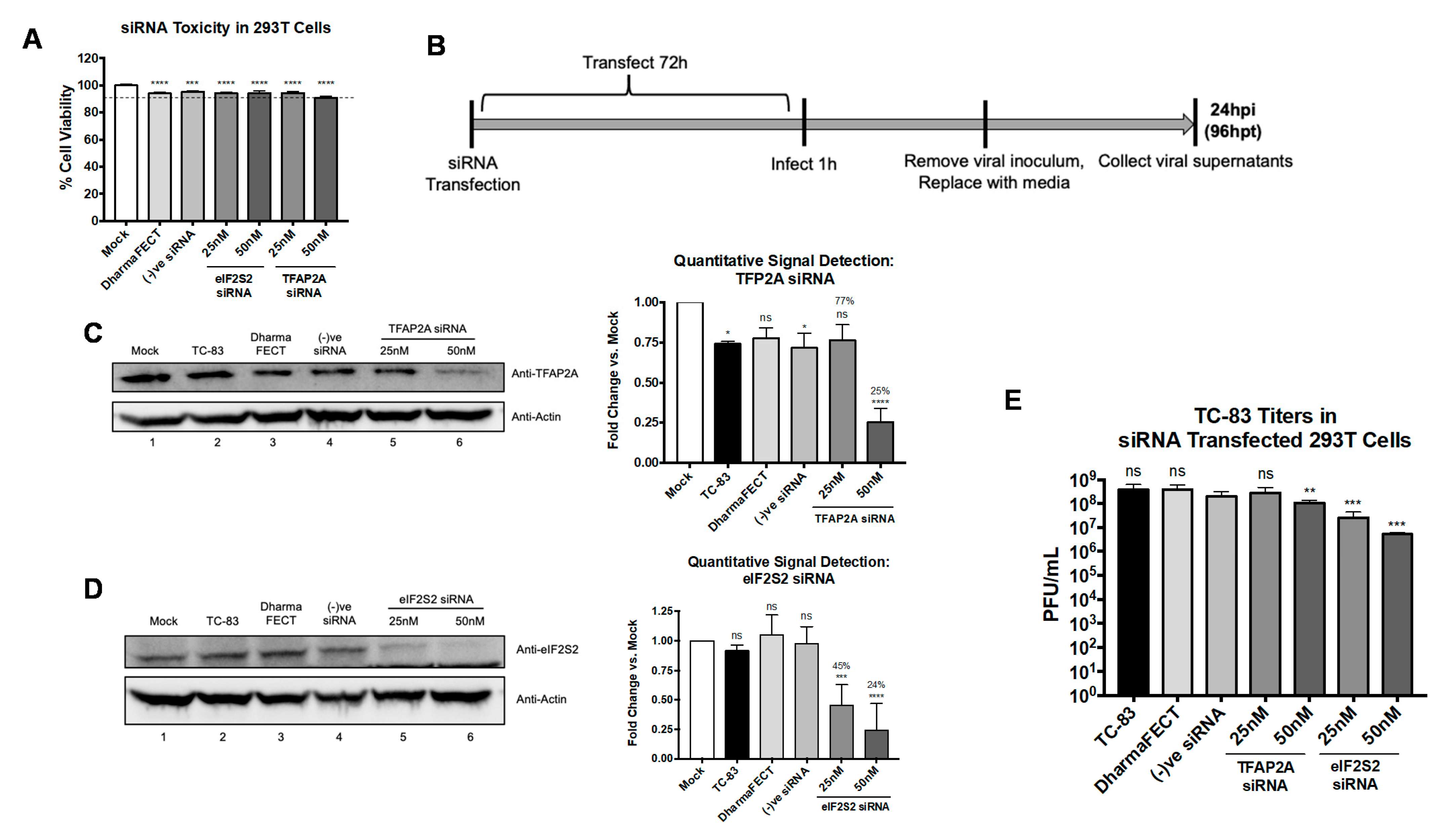 Viruses 13 01533 g008 Viruses 13 01533 g008