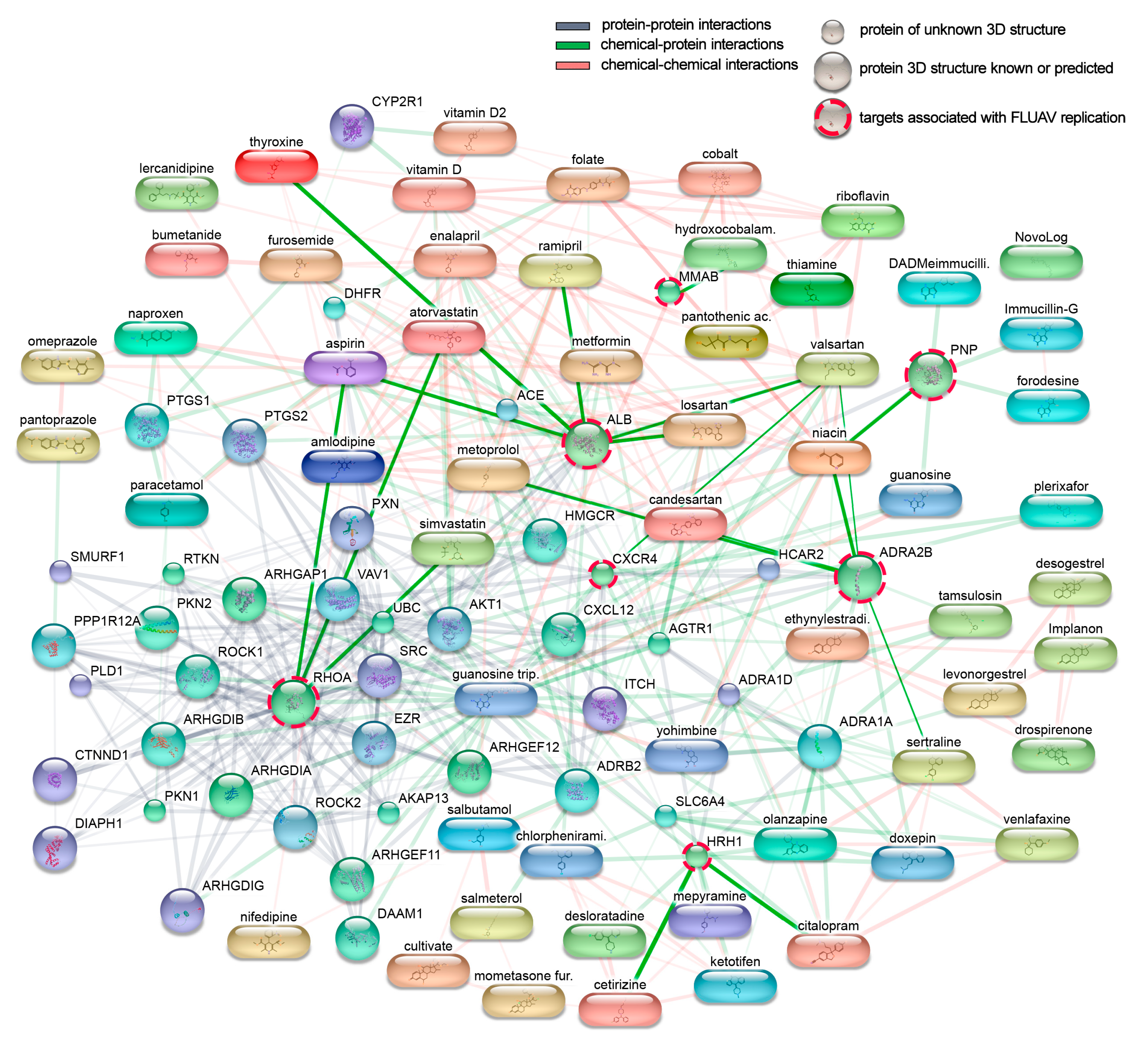Viruses 13 01537 g002