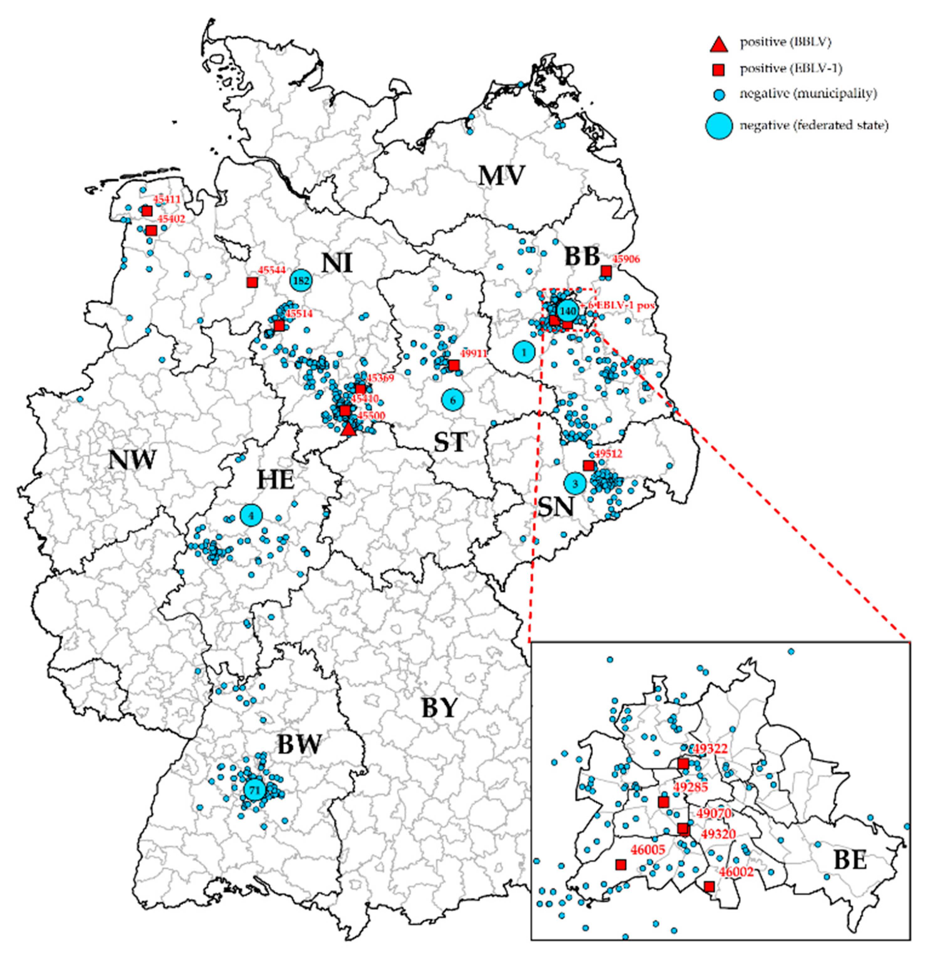 Viruses 13 01538 g001