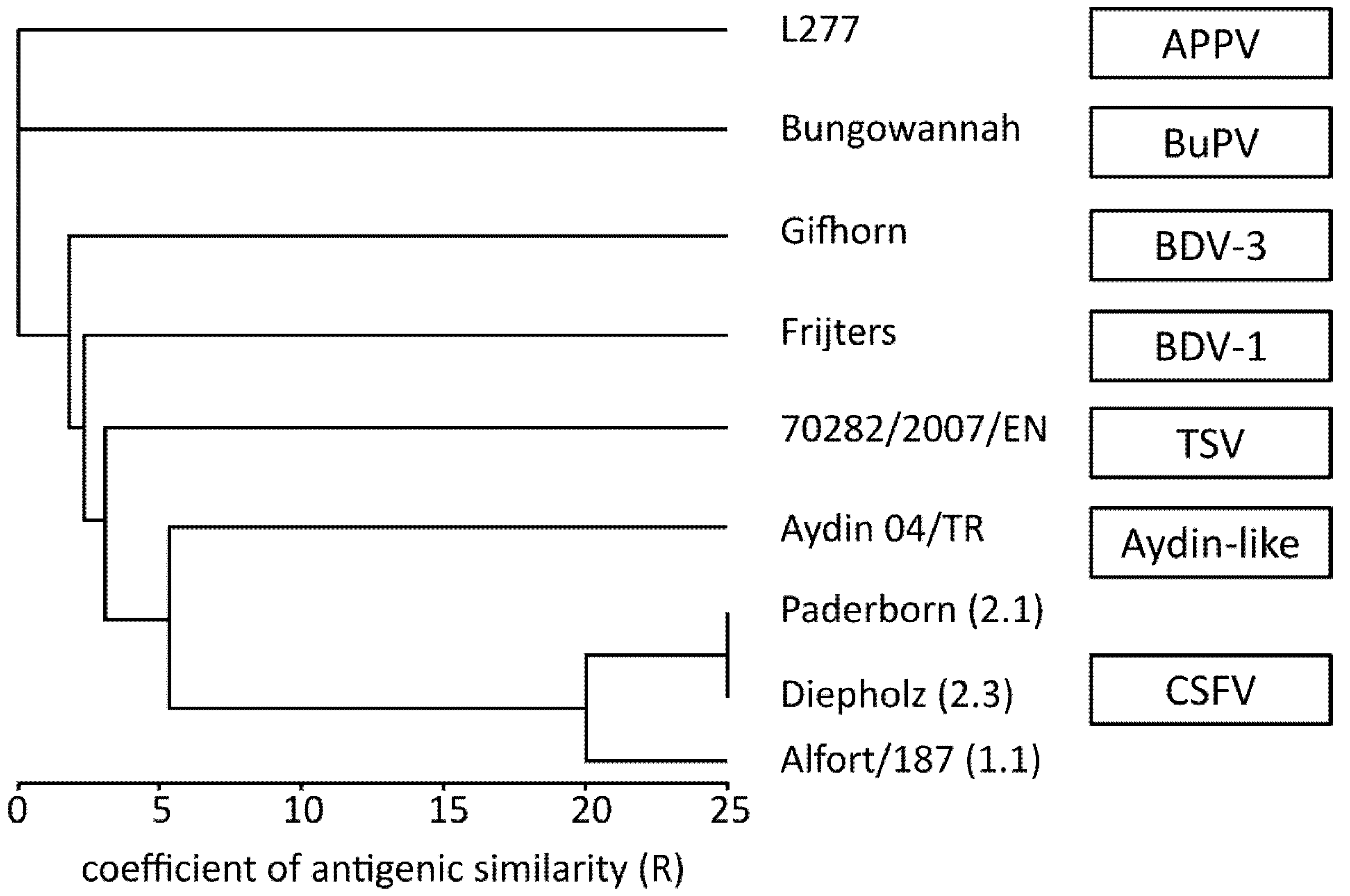Viruses 13 01539 g004 Viruses 13 01539 g004
