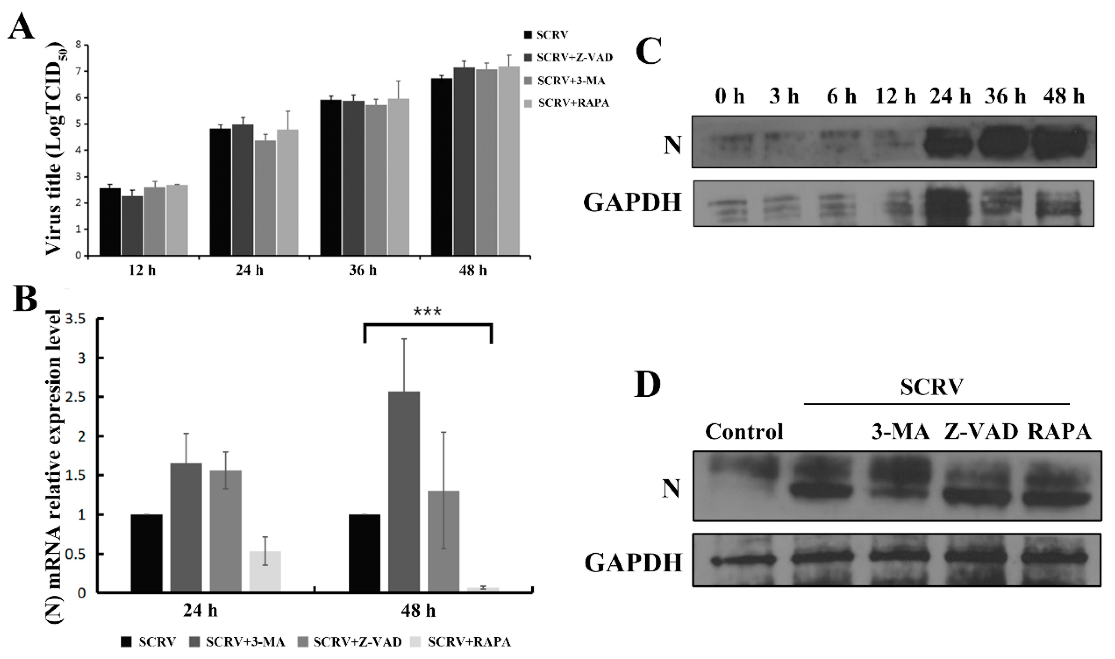 Viruses 13 01554 g006