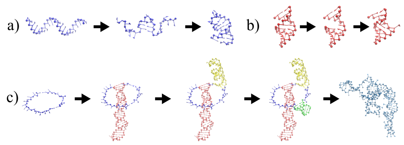 Viruses 13 01555 g001 Viruses 13 01555 g001