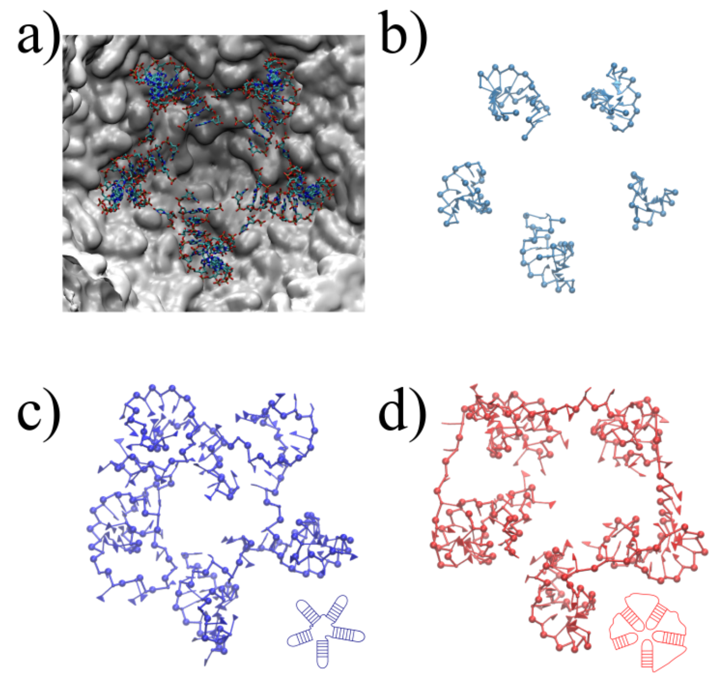 Viruses 13 01555 g005 Viruses 13 01555 g005