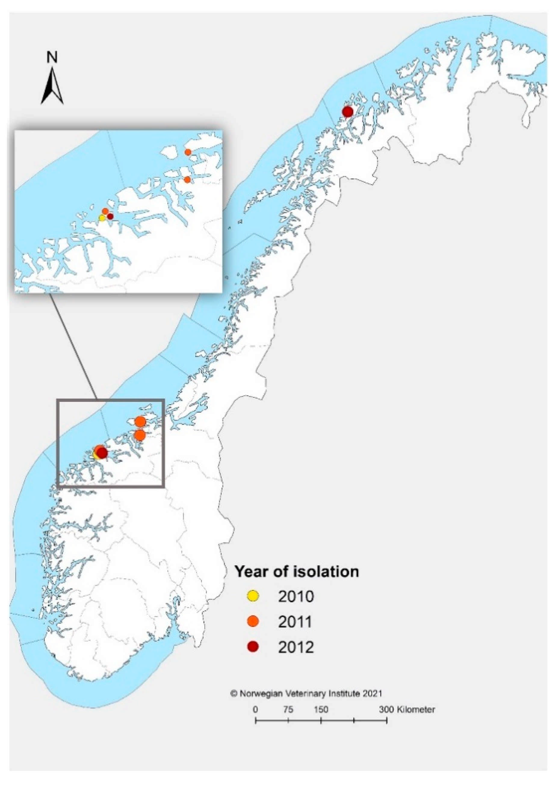 Viruses 13 01556 g001