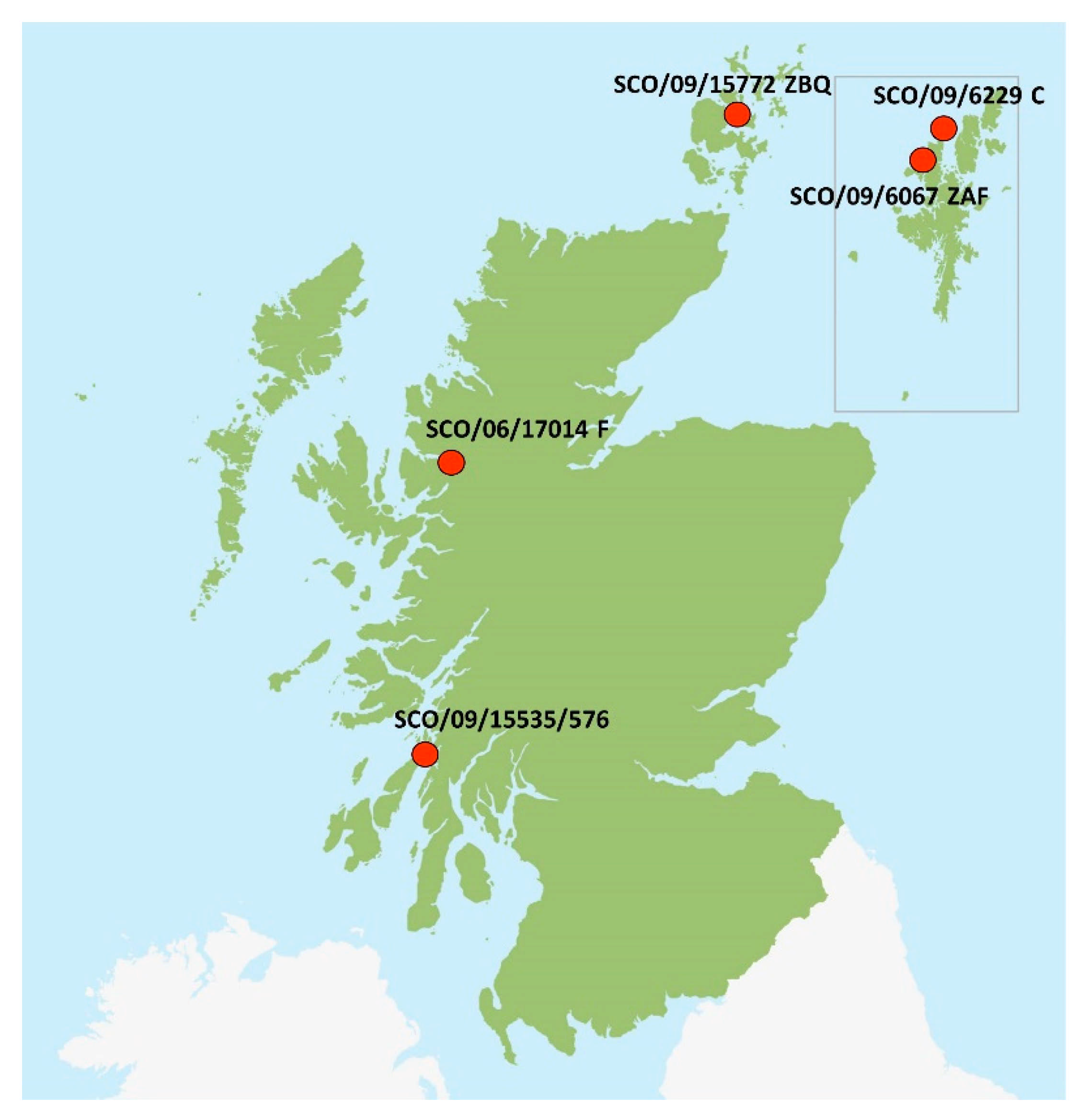 Viruses 13 01556 g002