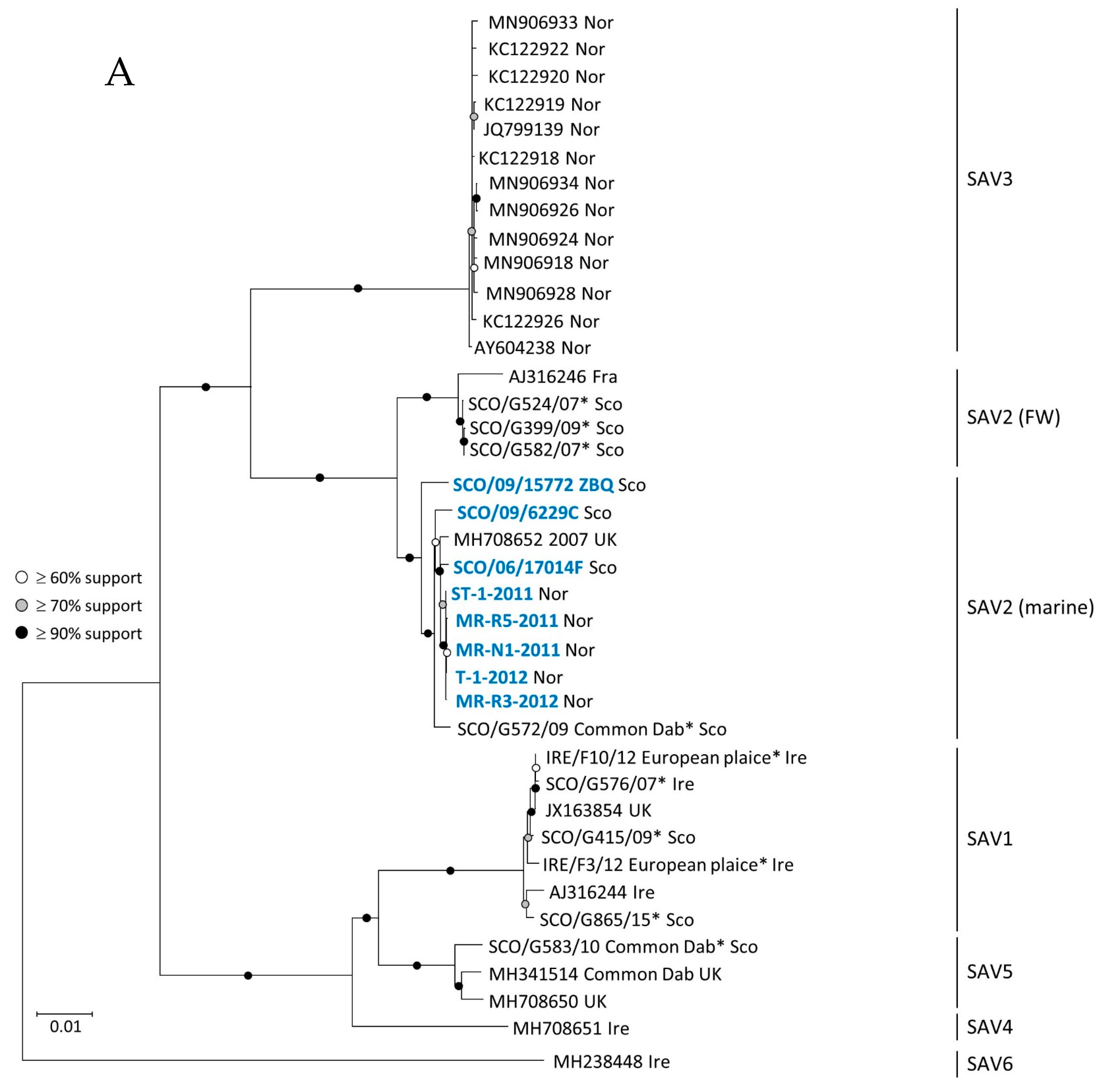 Viruses 13 01556 g003a