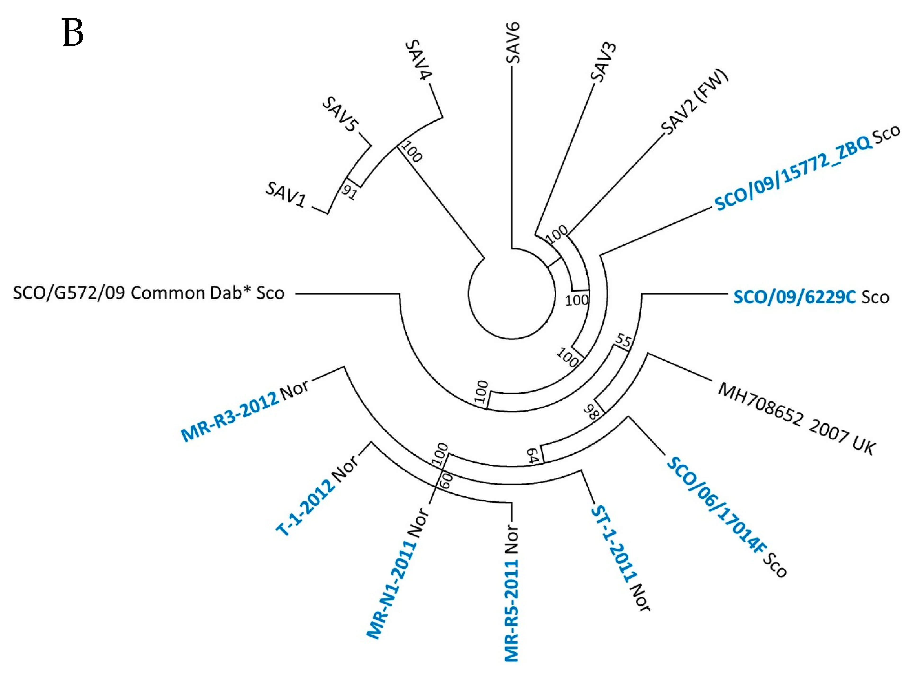 Viruses 13 01556 g003b
