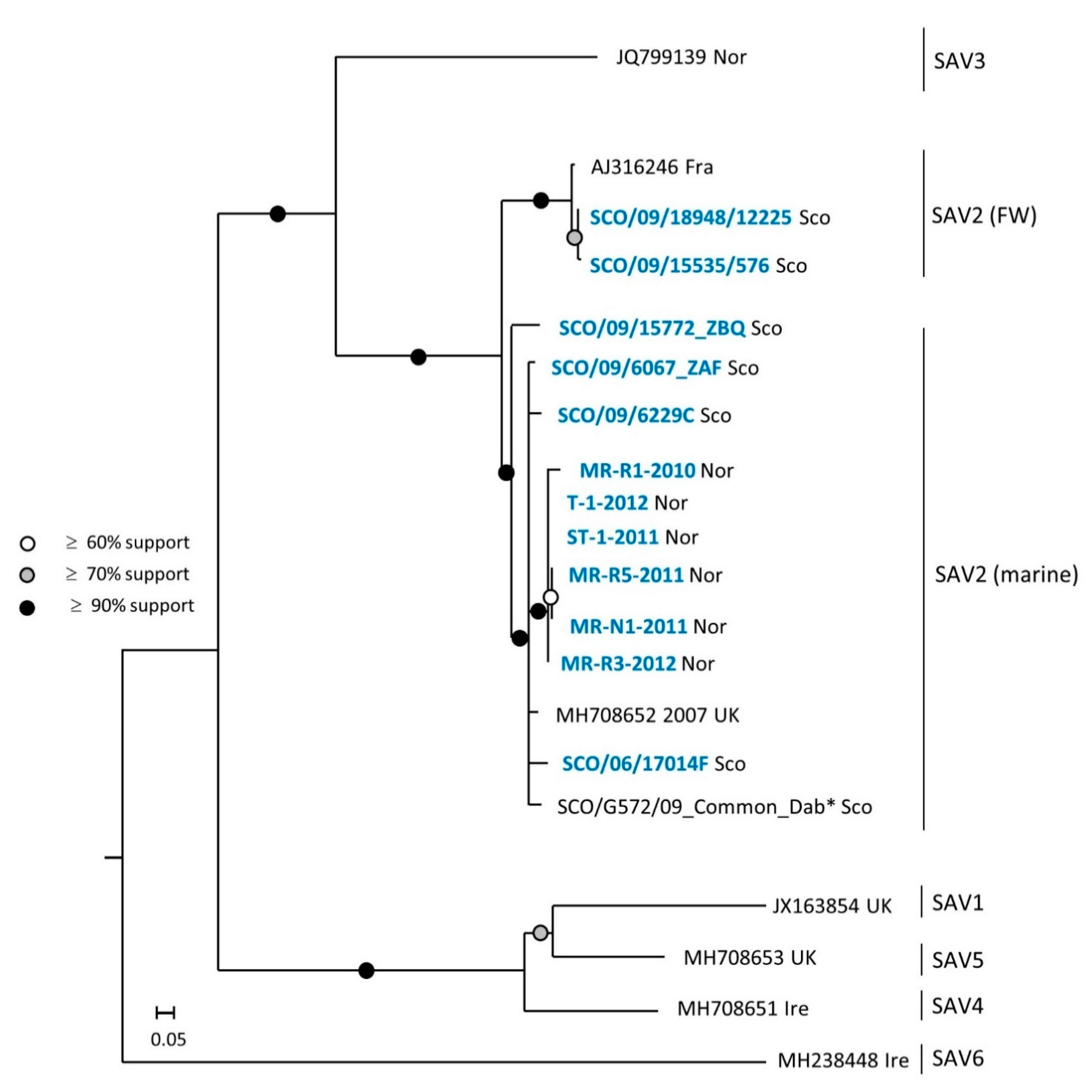 Viruses 13 01556 g004
