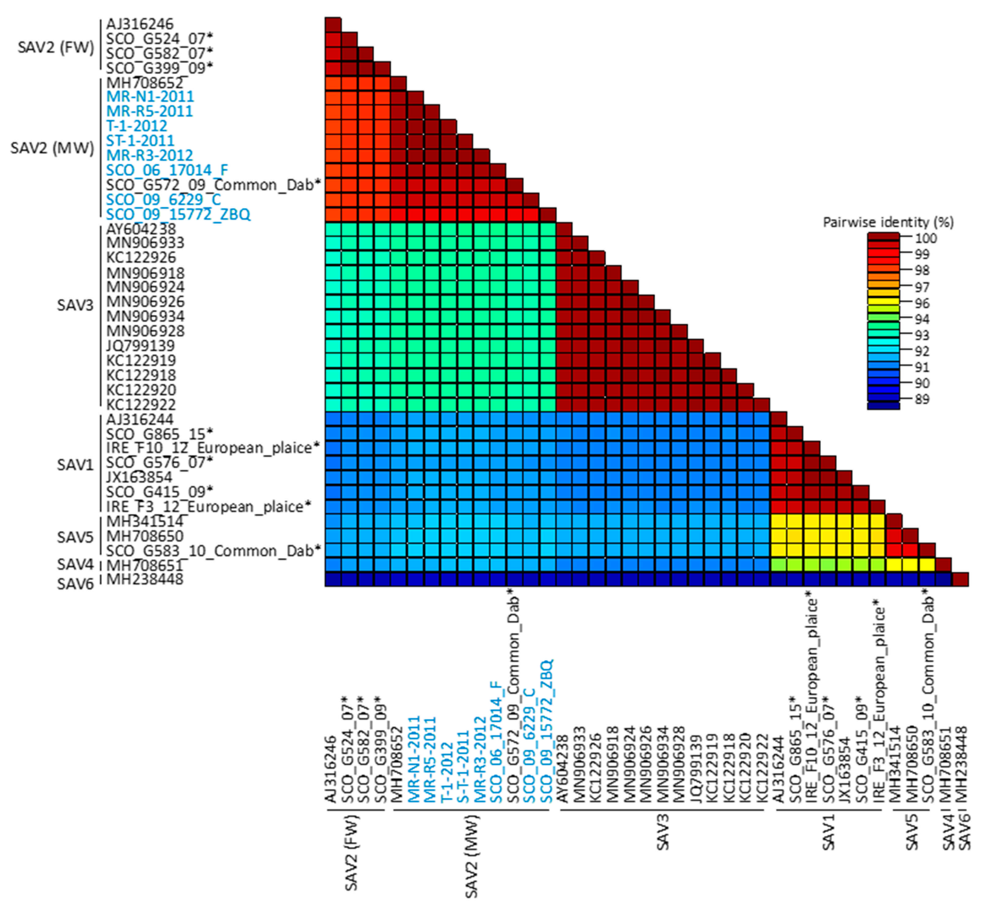 Viruses 13 01556 g005