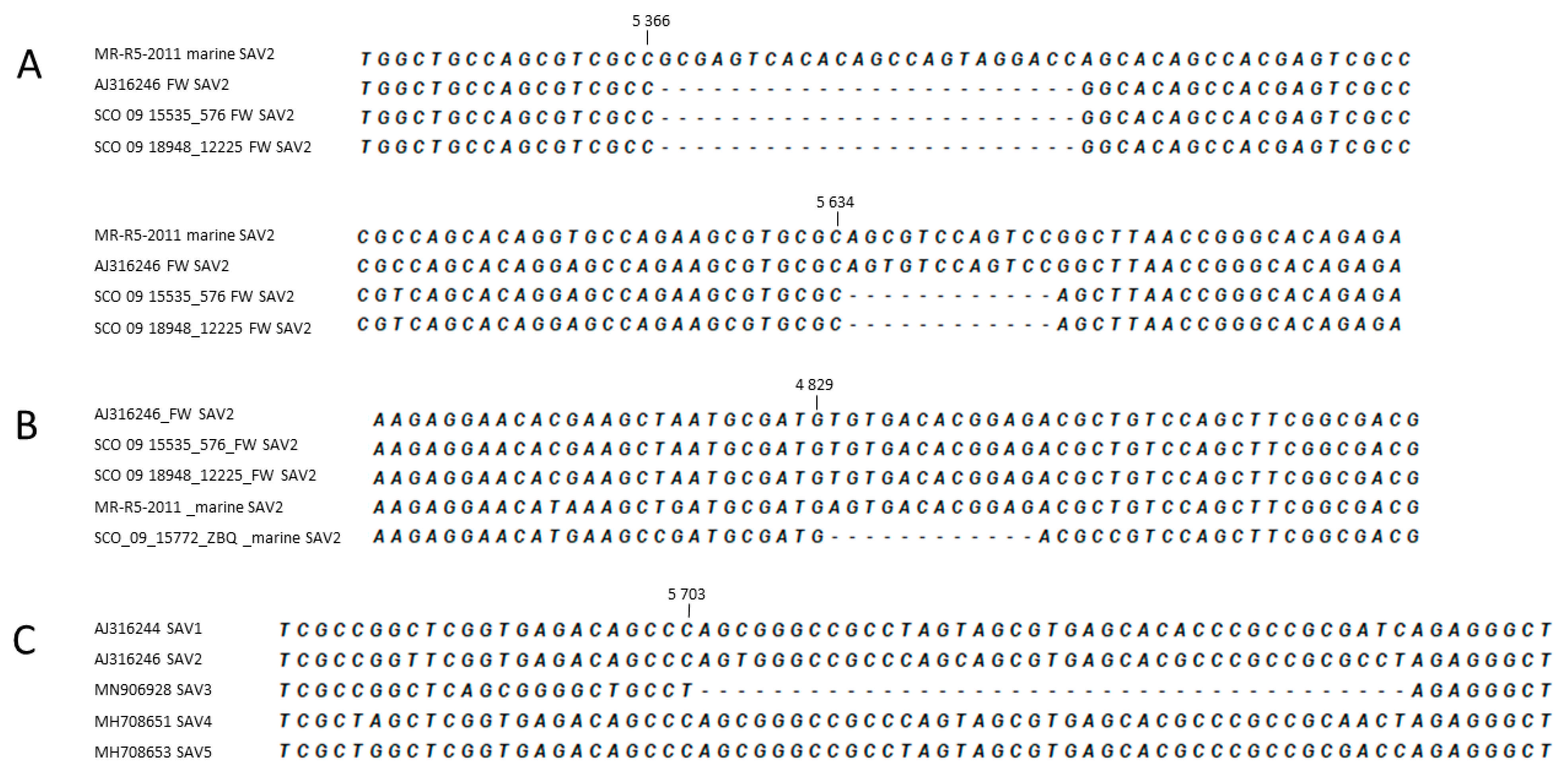 Viruses 13 01556 g006