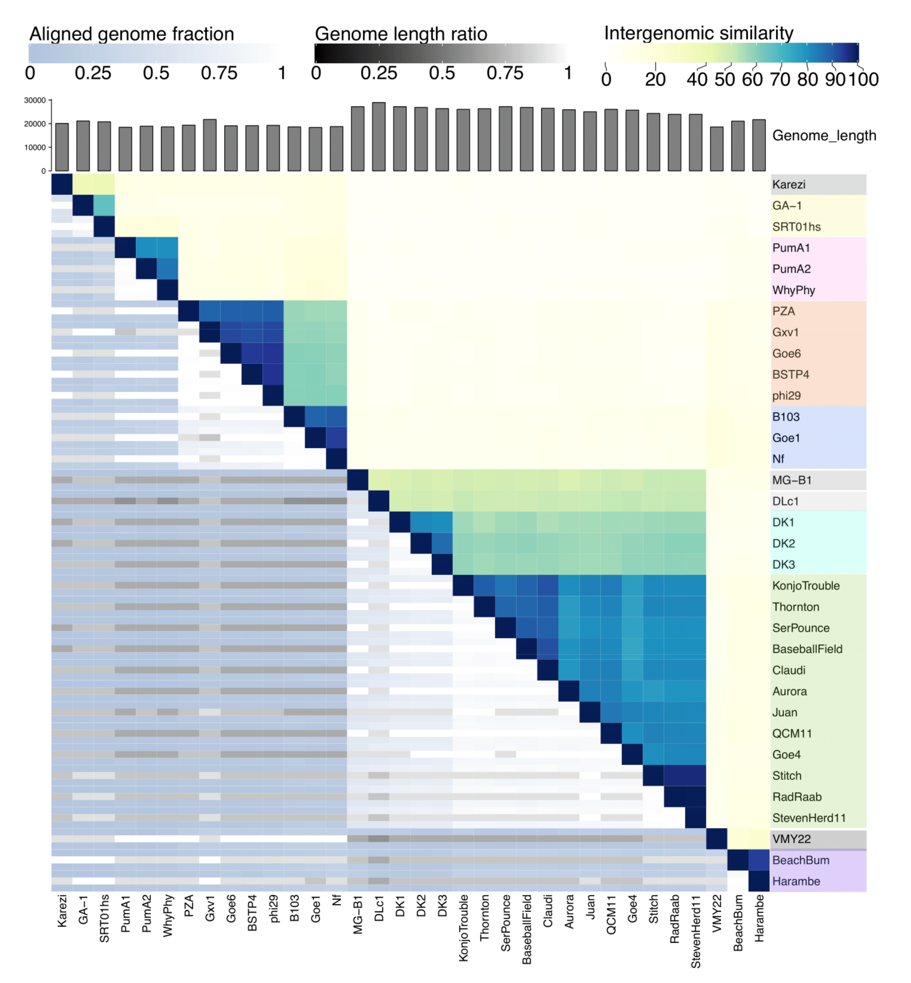 Viruses 13 01557 g003