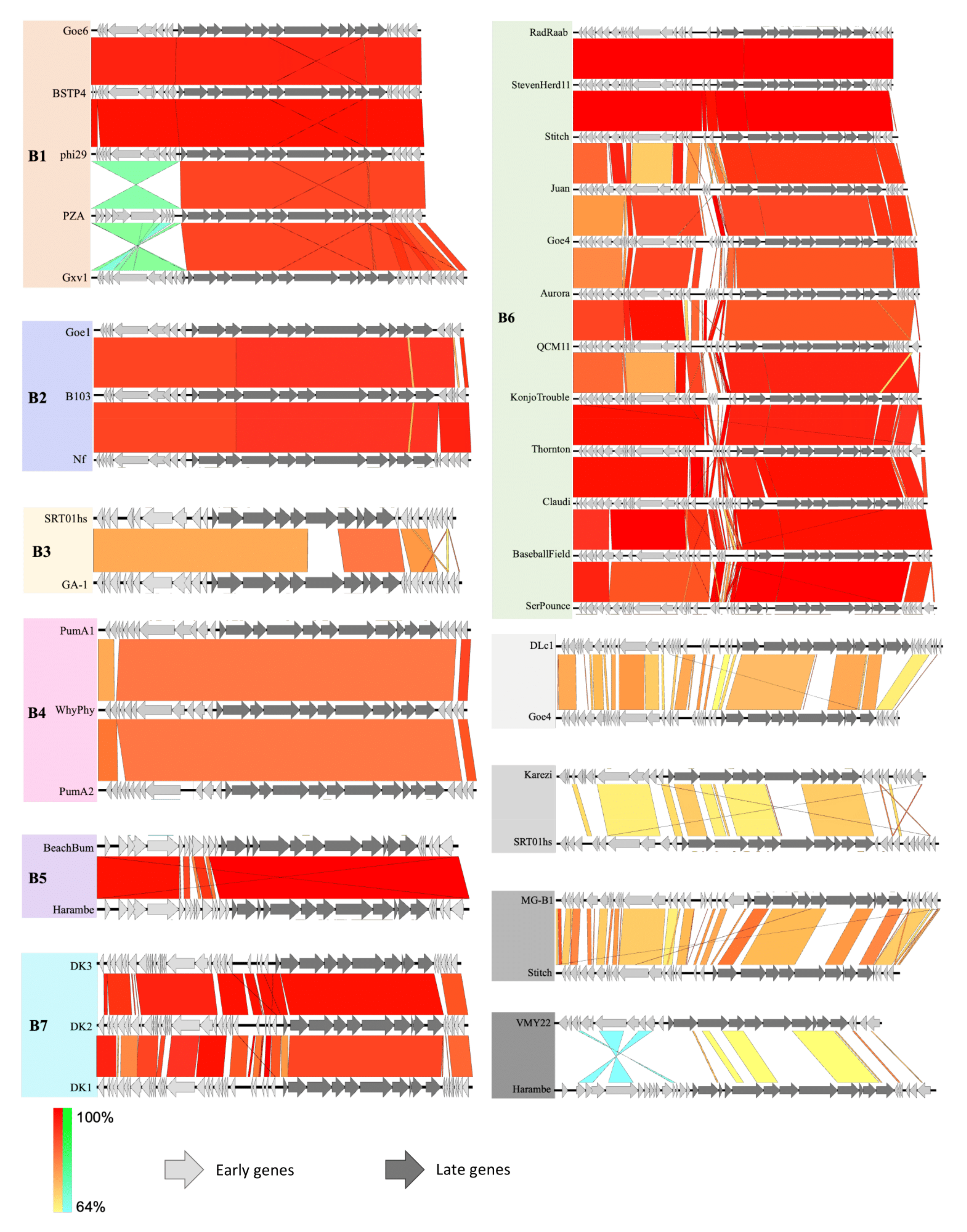 Viruses 13 01557 g004