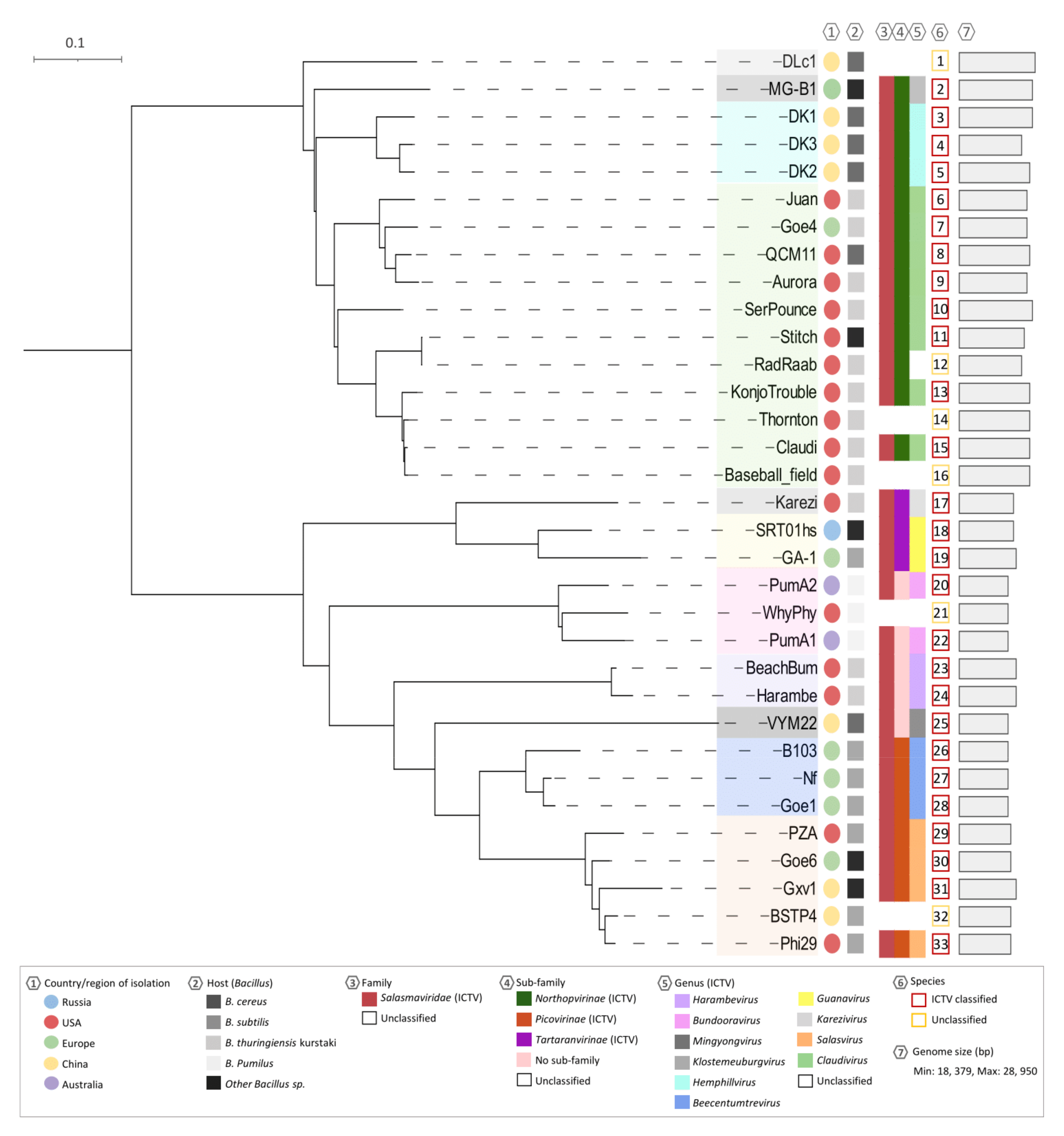 Viruses 13 01557 g007