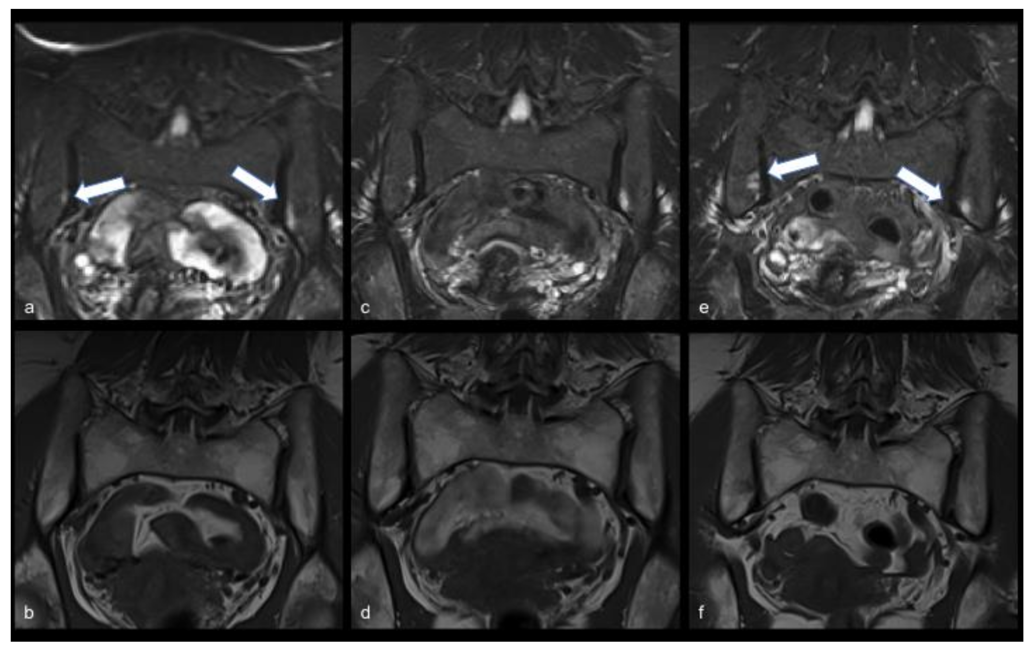 Viruses 13 01558 g001