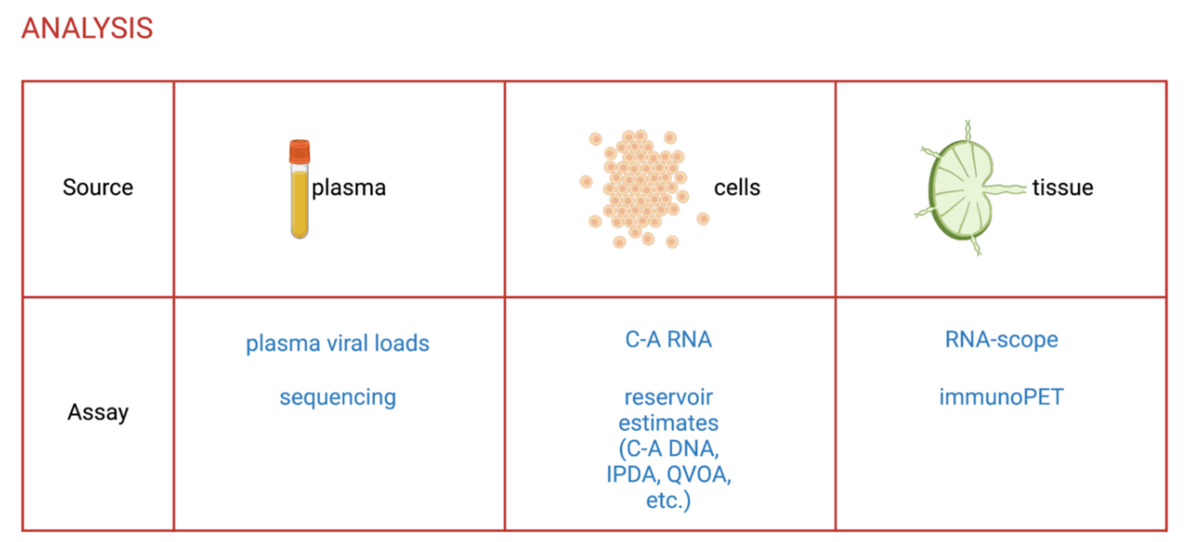 Viruses 13 01560 g002 Viruses 13 01560 g002