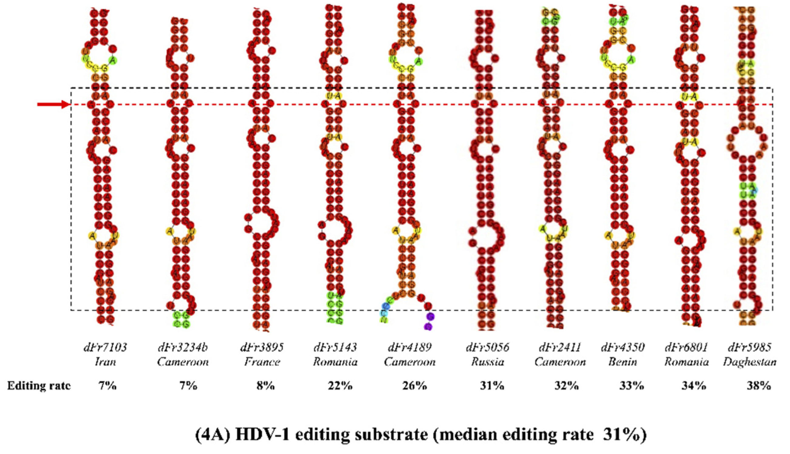 Viruses 13 01572 g004a