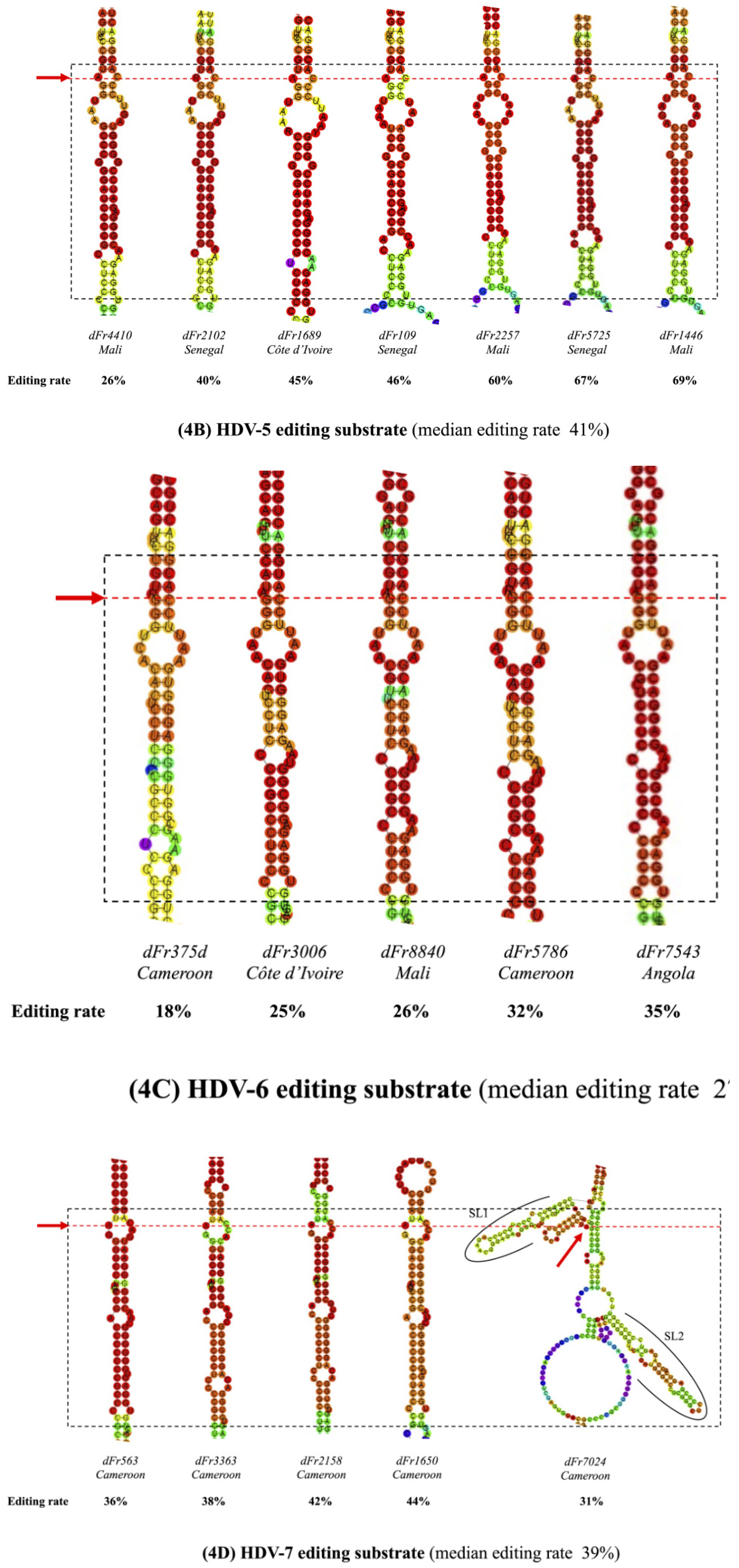 Viruses 13 01572 g004b