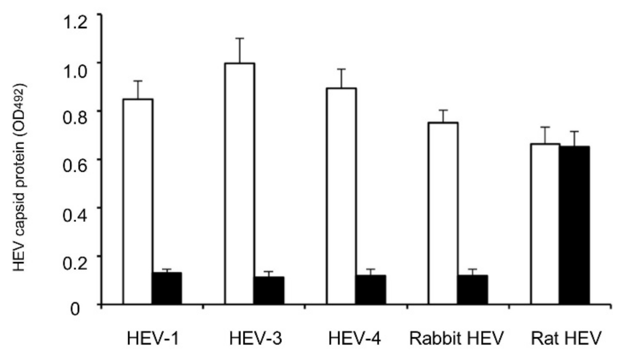 Viruses 13 01573 g004