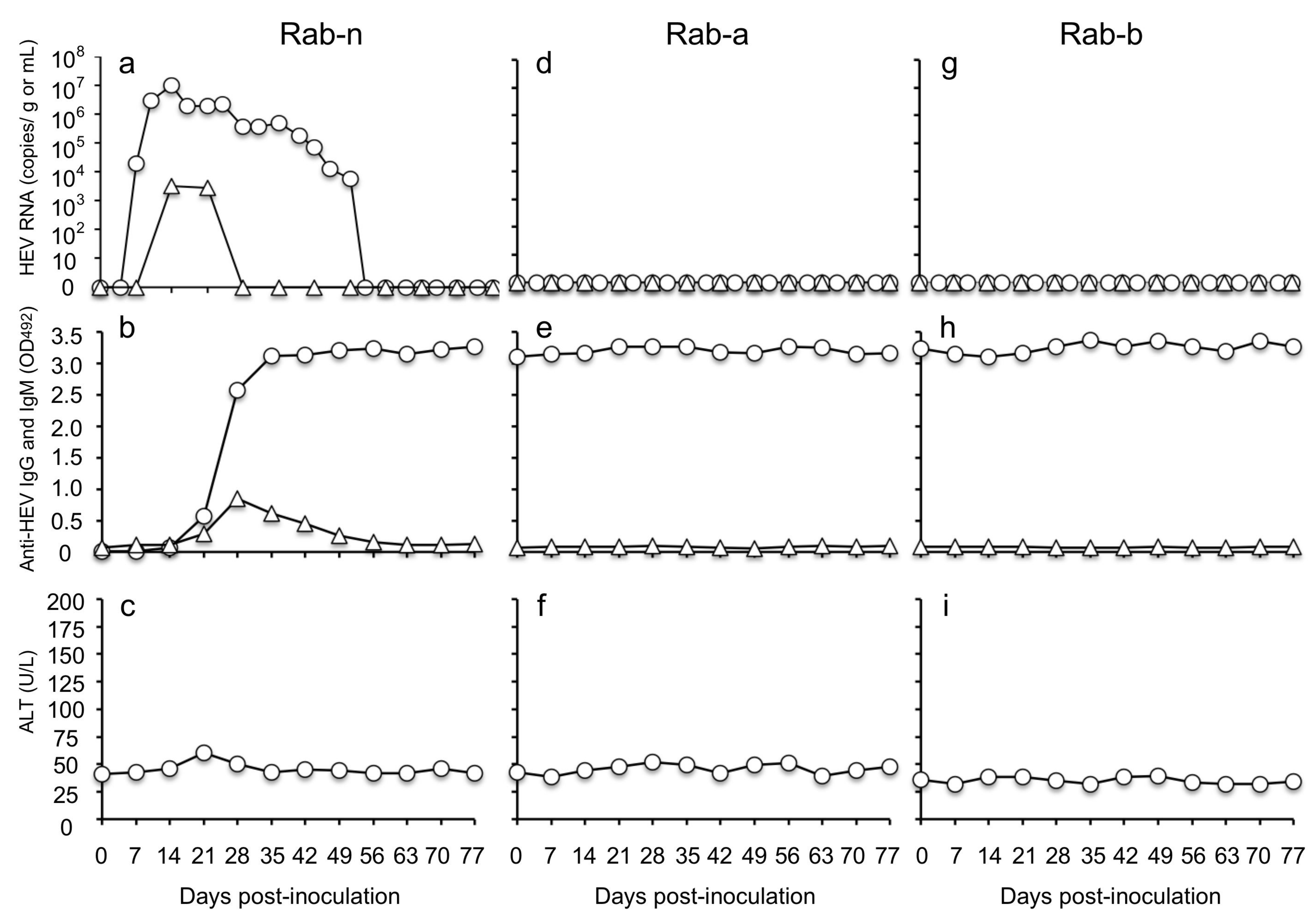 Viruses 13 01573 g006