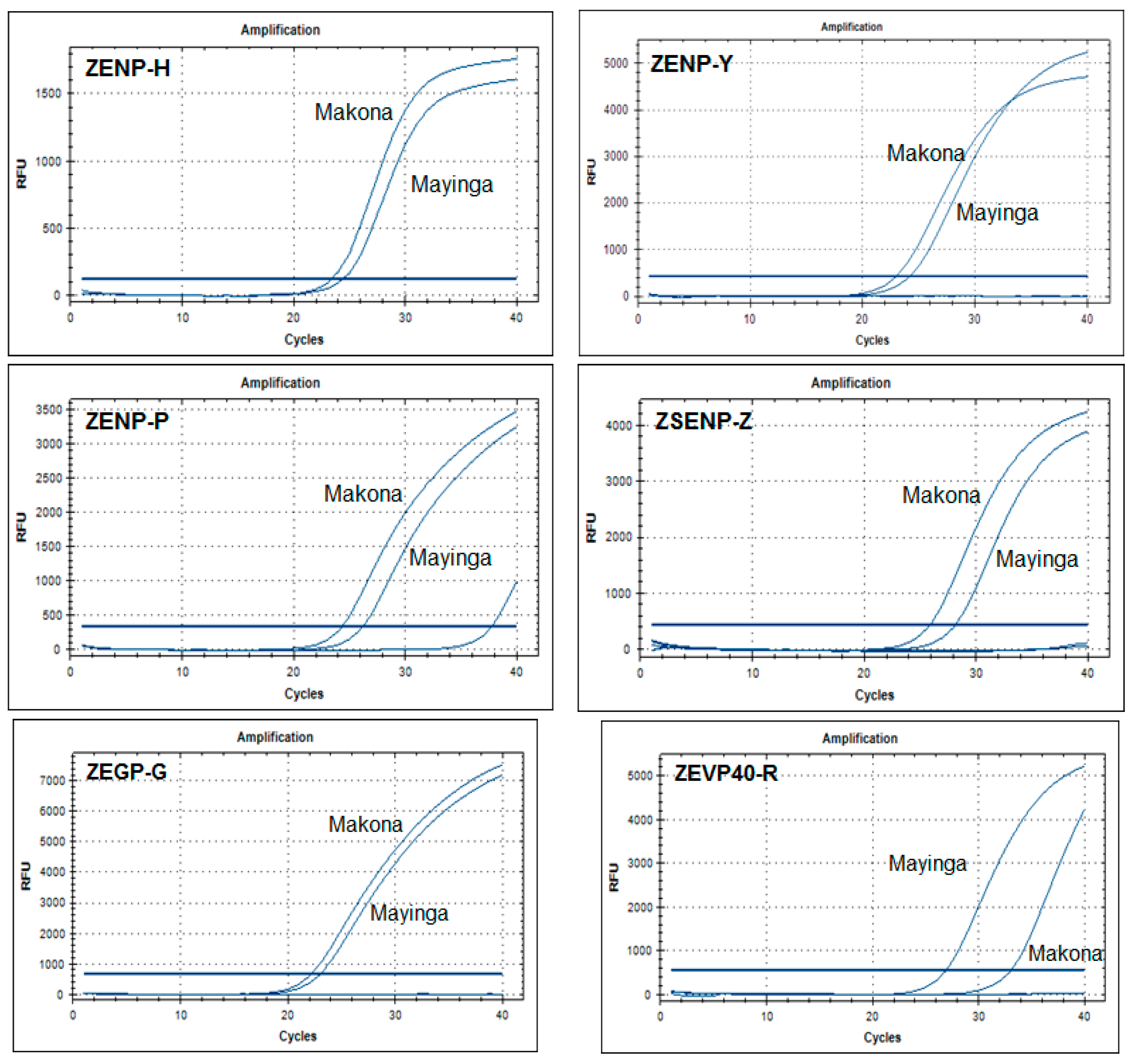 Viruses 13 01575 g002 Viruses 13 01575 g002