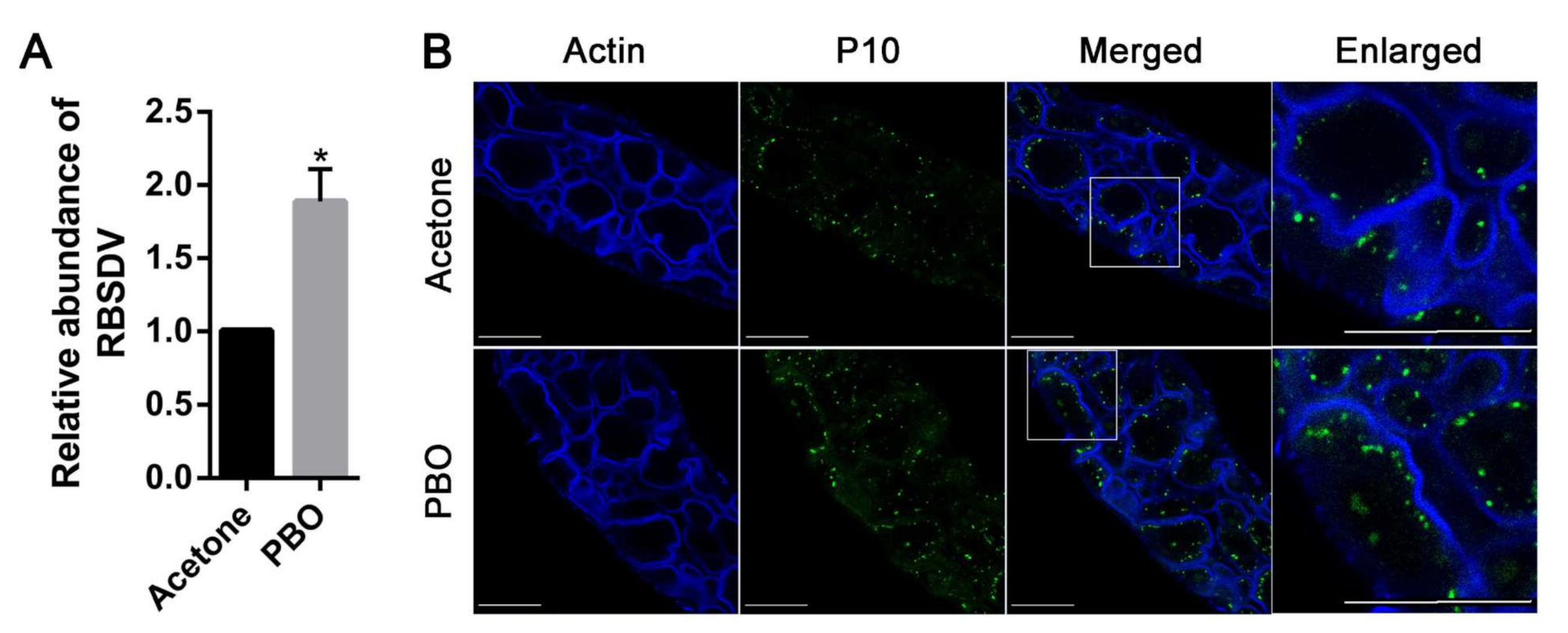 Viruses 13 01576 g002