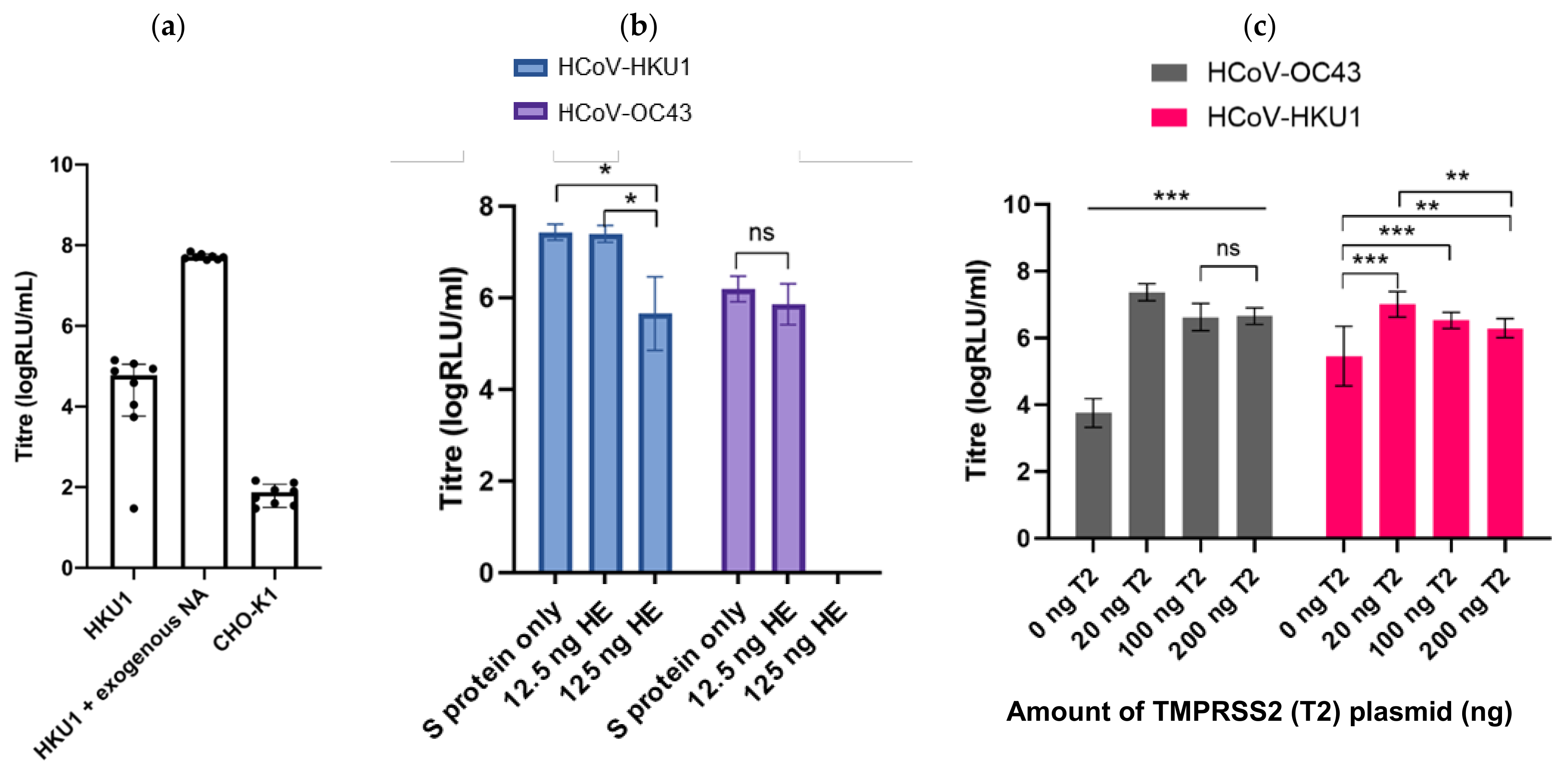 Viruses 13 01579 g005 Viruses 13 01579 g005