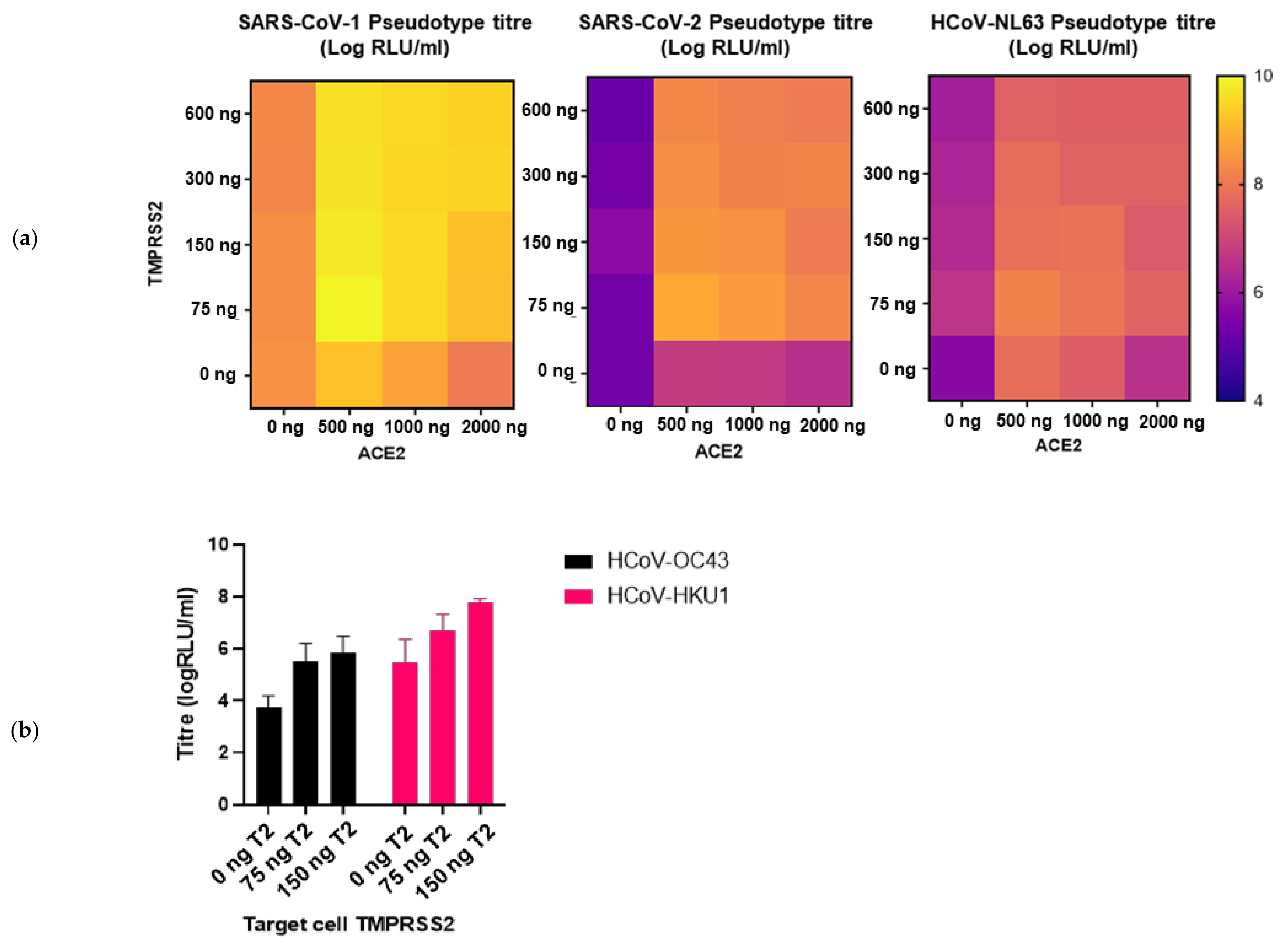 Viruses 13 01579 g008 Viruses 13 01579 g008