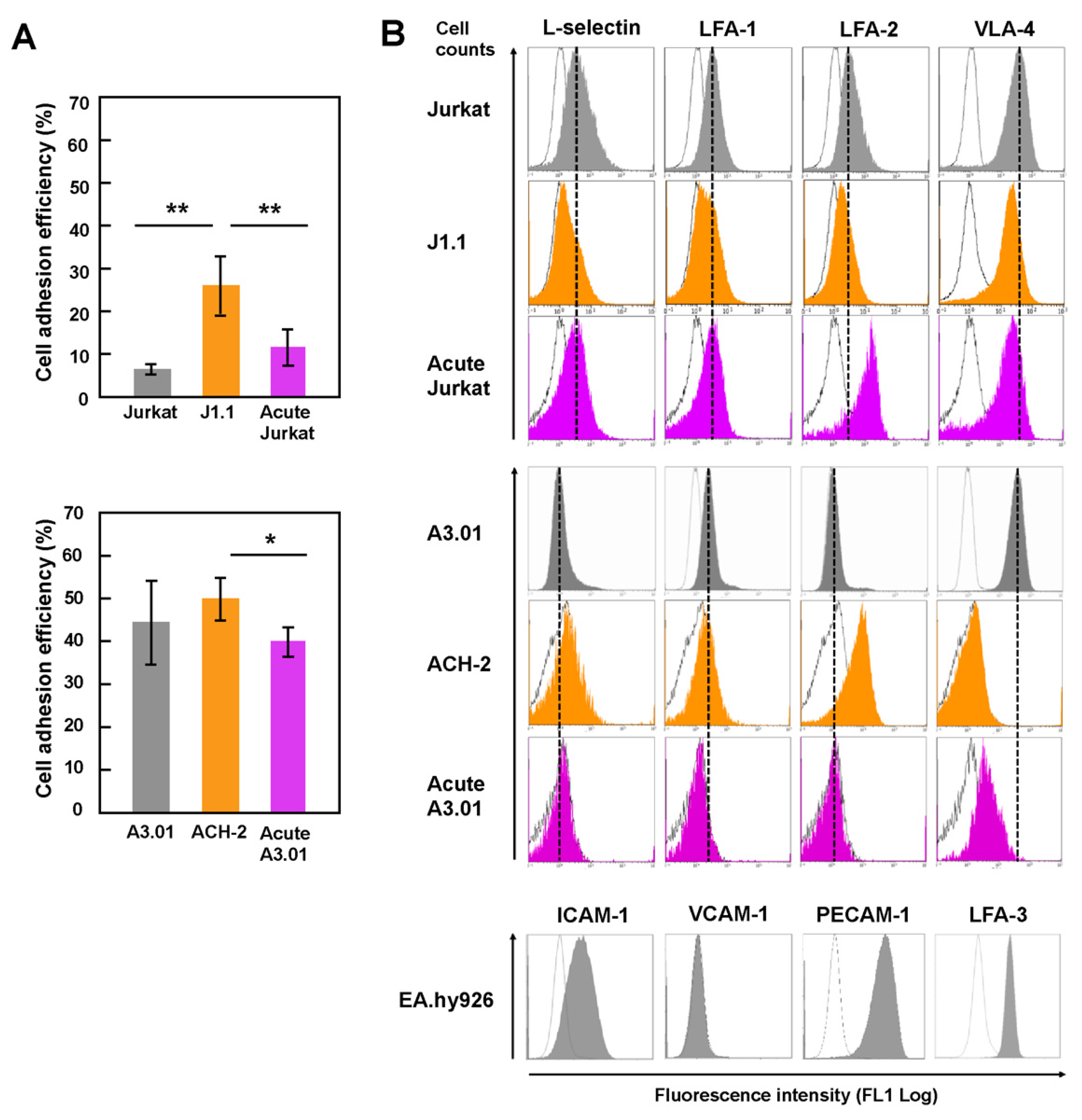 Viruses 13 01589 g001