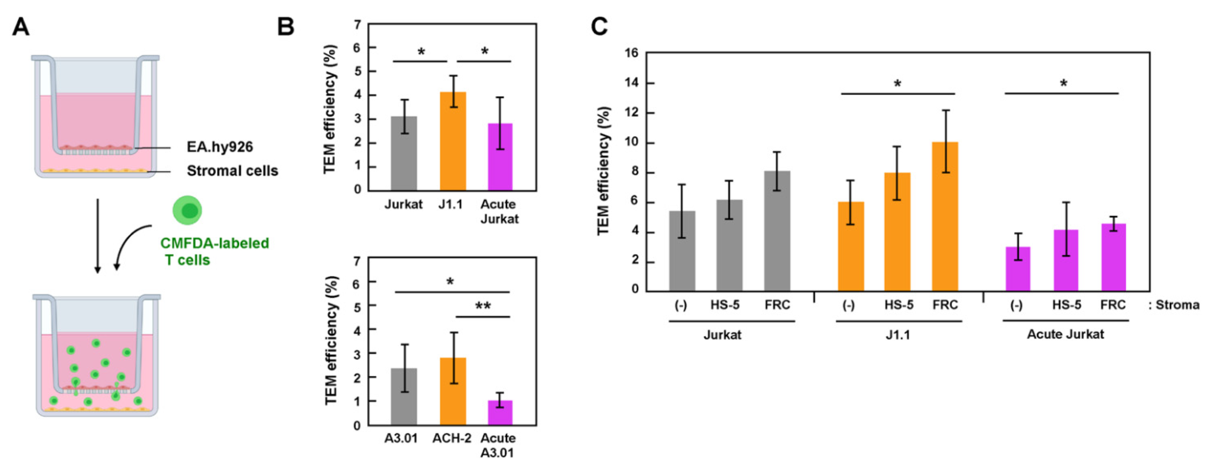 Viruses 13 01589 g002