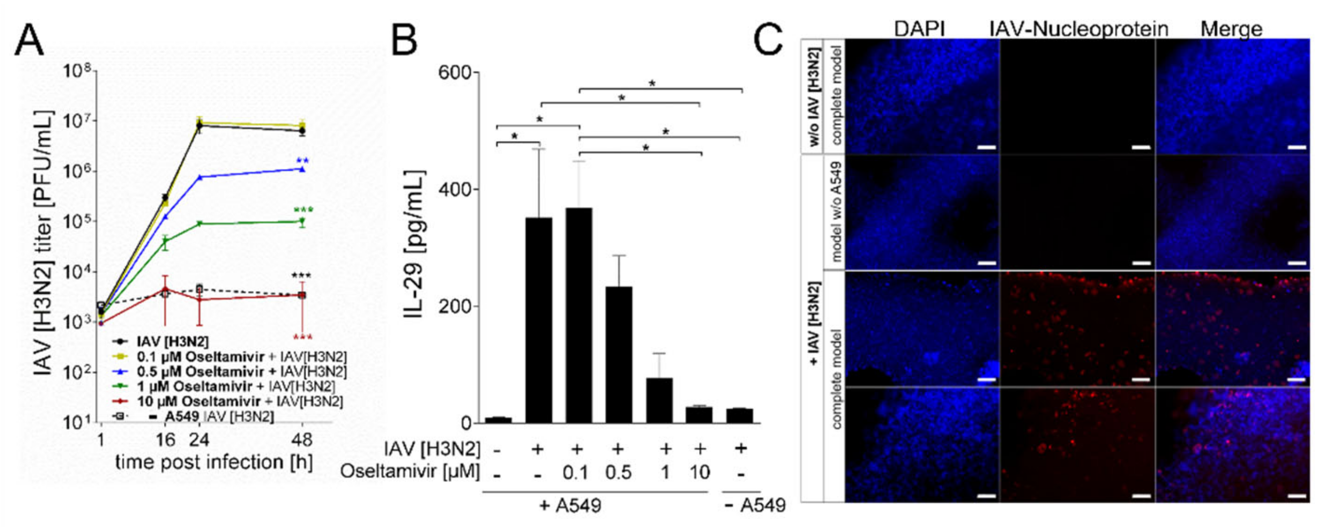 Viruses 13 01590 g006 550
