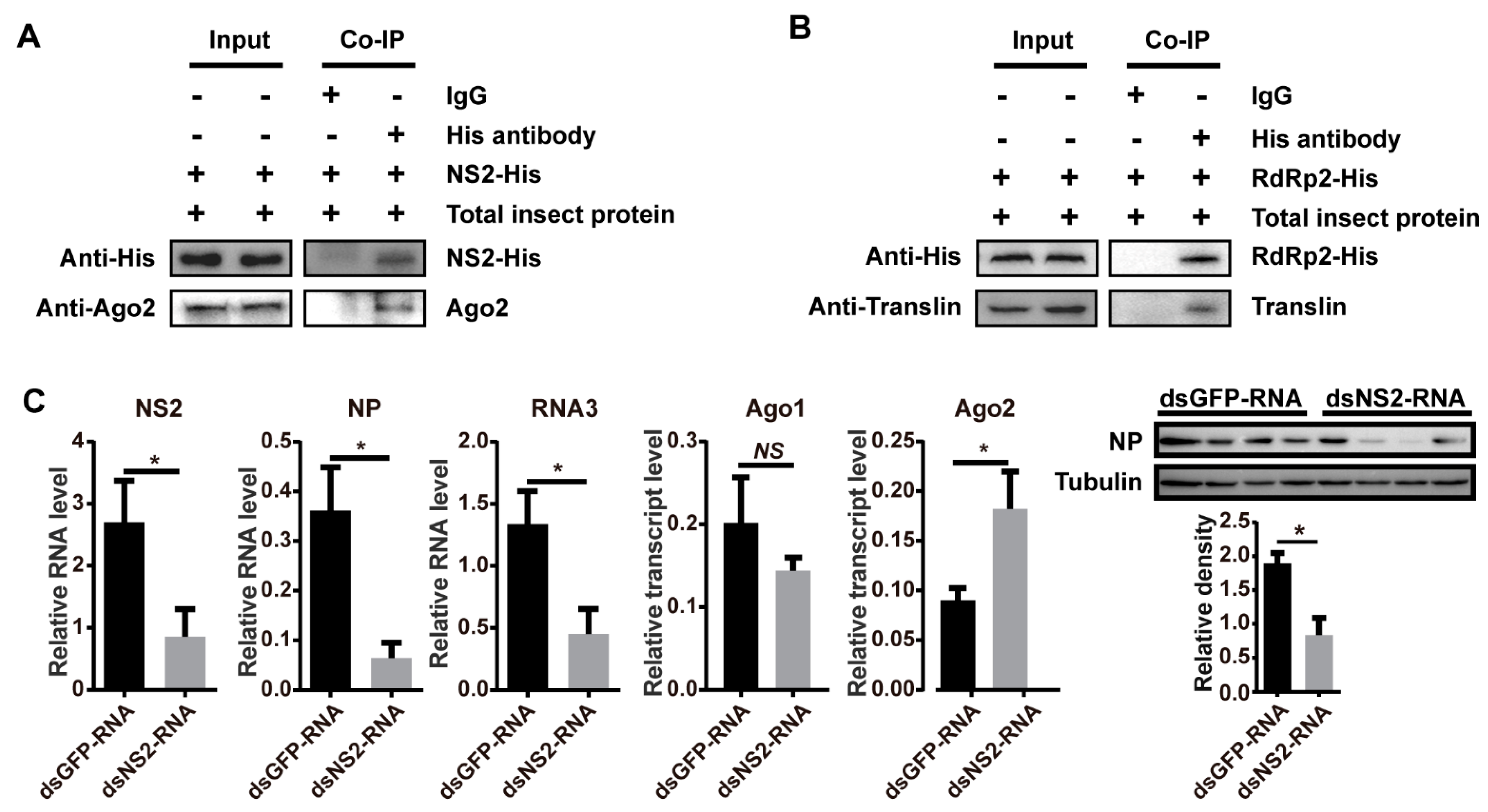 Viruses 13 01591 g004