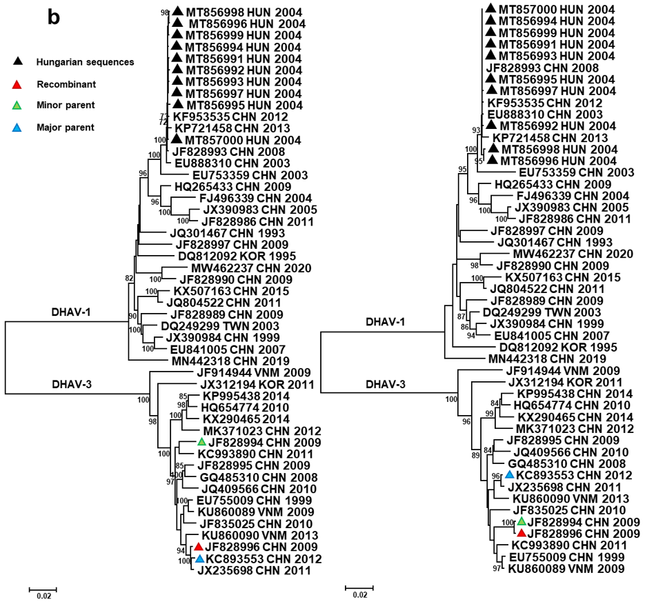 Viruses 13 01592 g002b Viruses 13 01592 g002b