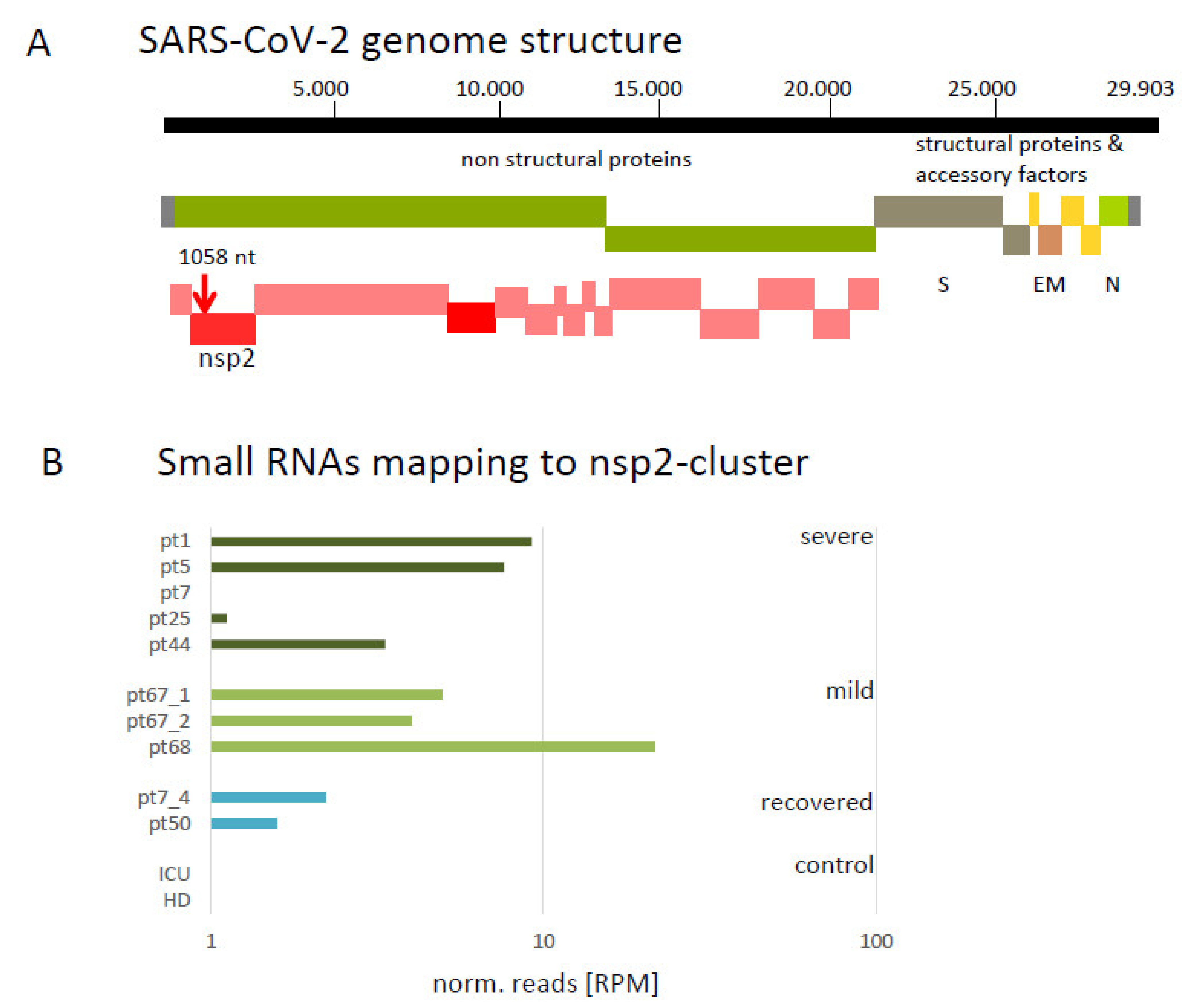 Viruses 13 01593 g002