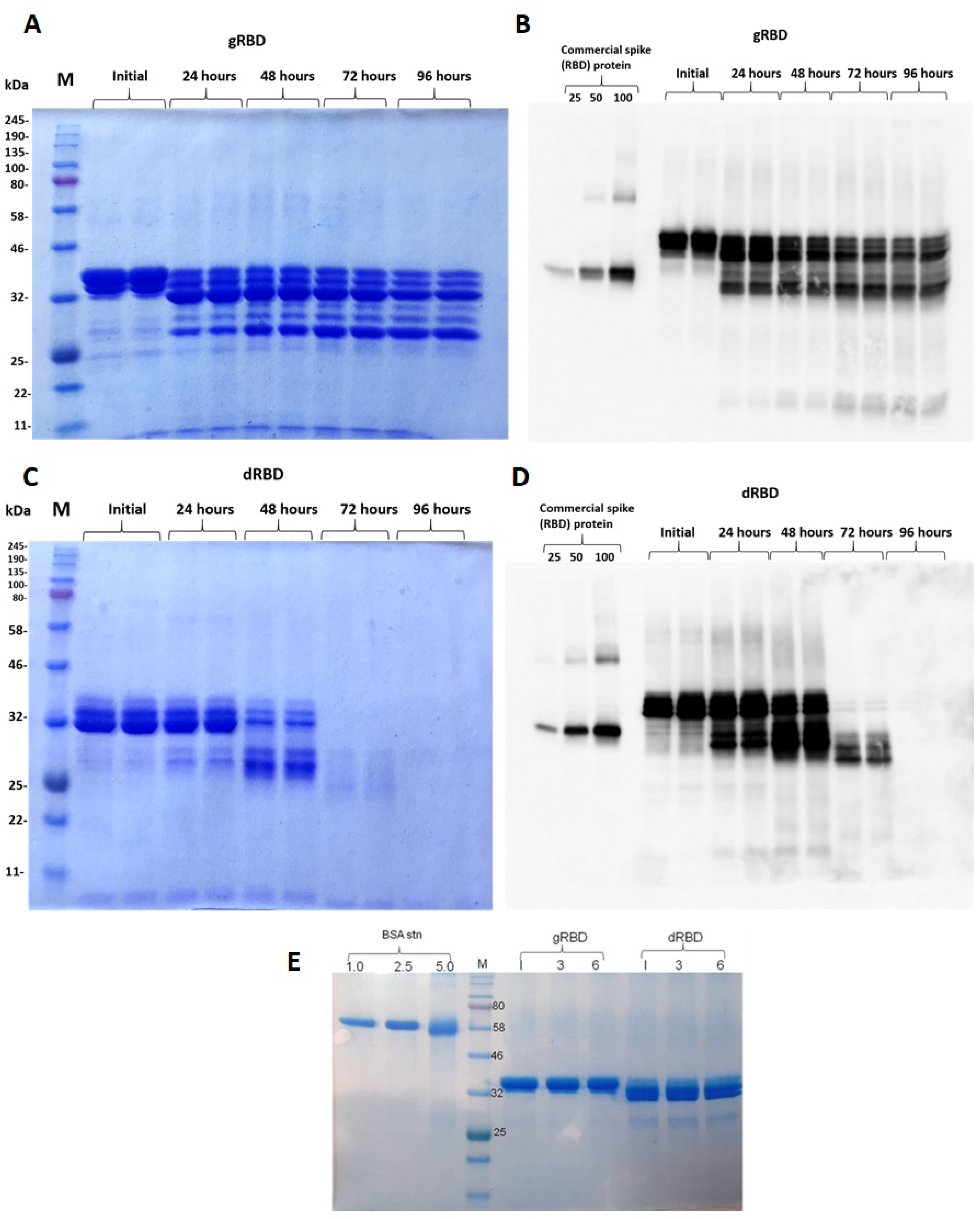 Viruses 13 01595 g005 Viruses 13 01595 g005