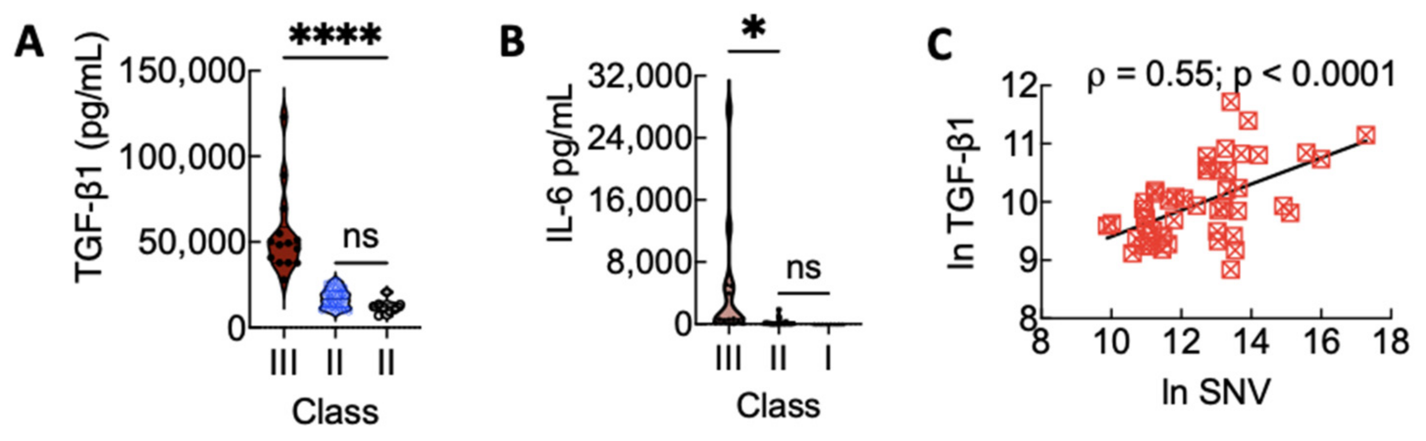 Viruses 13 01597 g003 Viruses 13 01597 g003