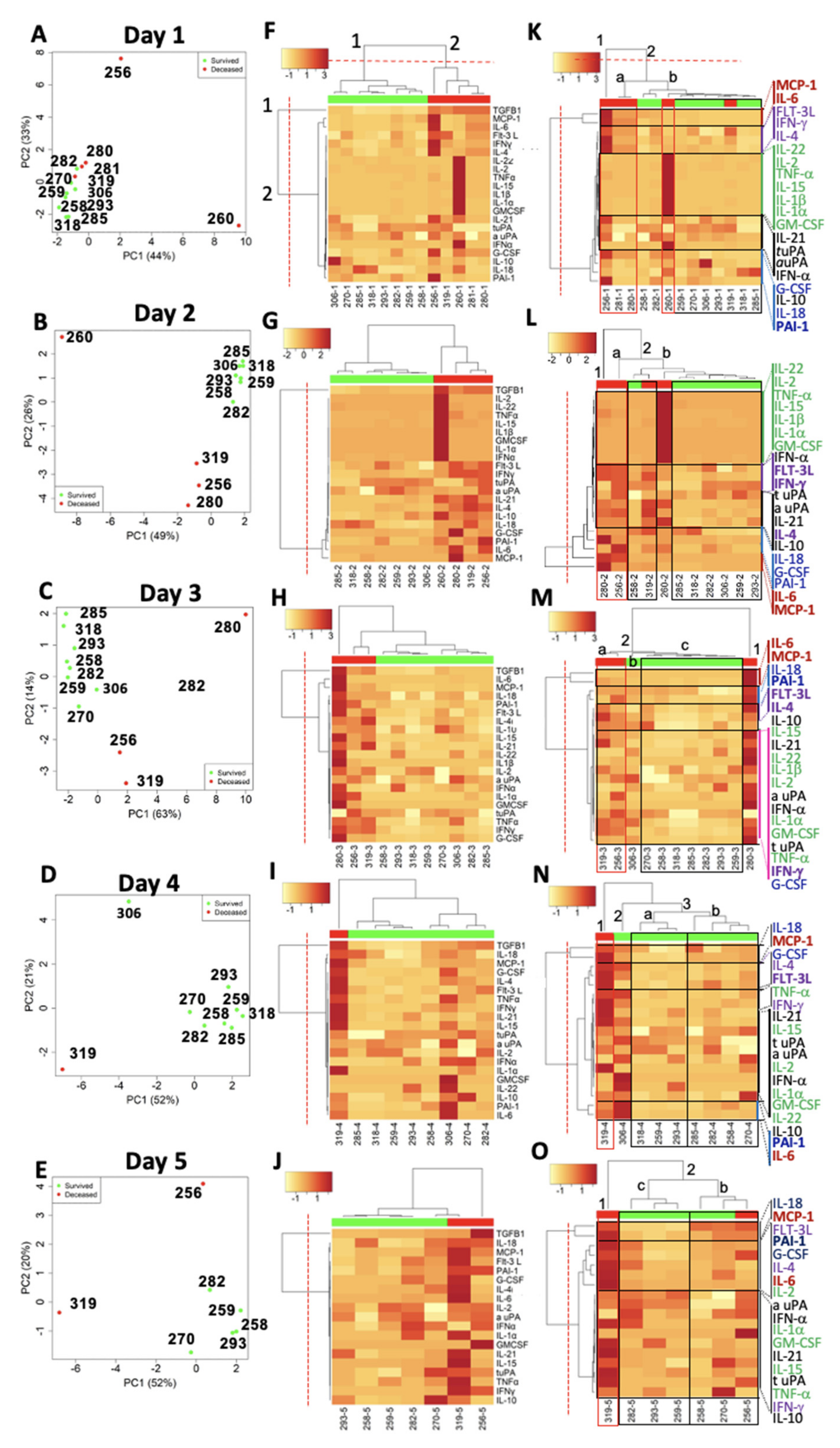 Viruses 13 01597 g005 Viruses 13 01597 g005