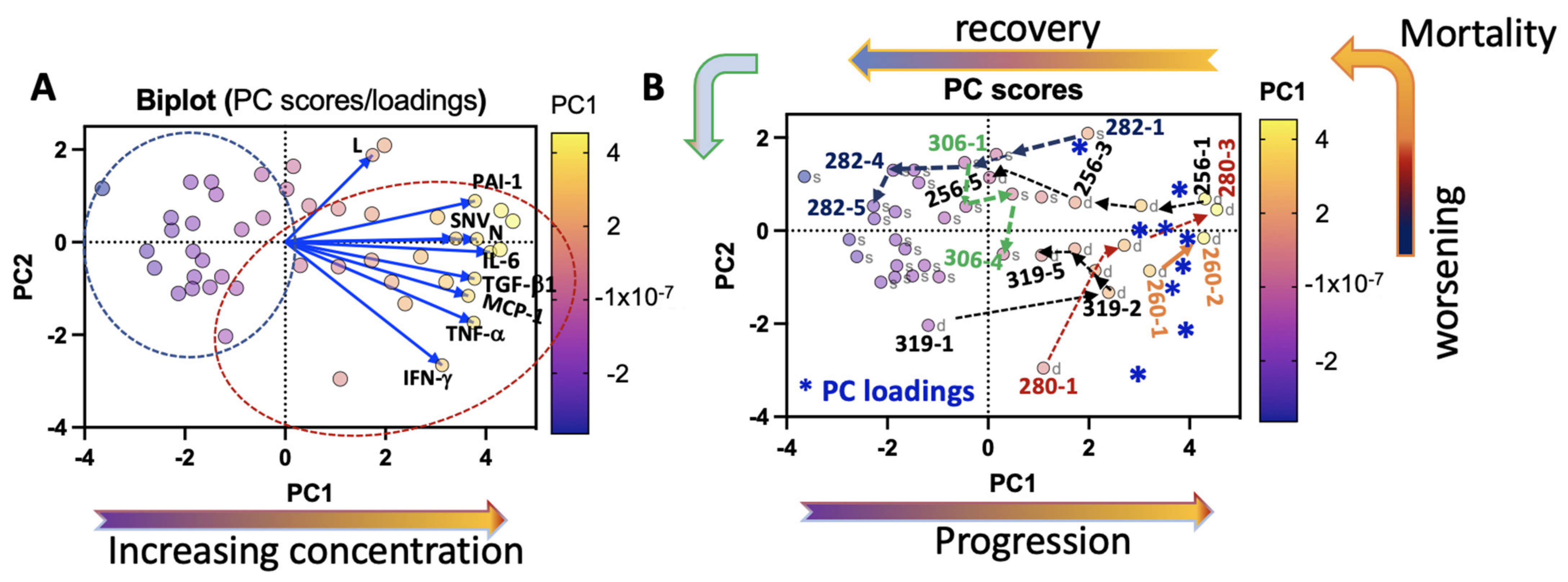 Viruses 13 01597 g006 Viruses 13 01597 g006