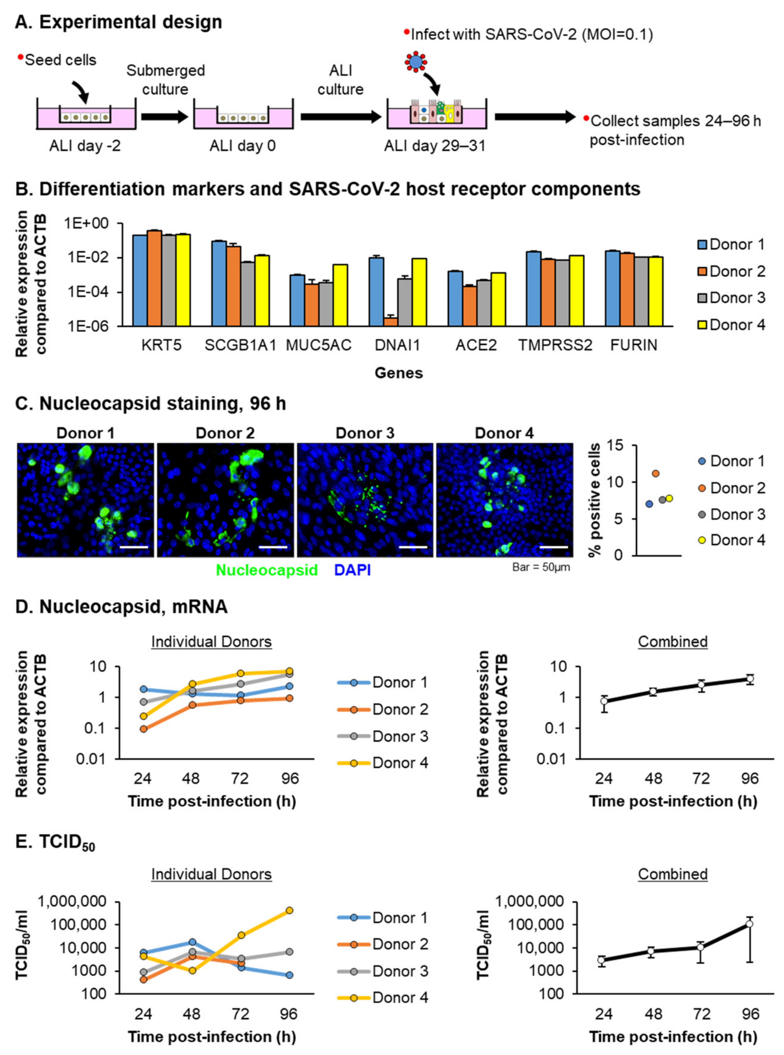 Viruses 13 01603 g001 550