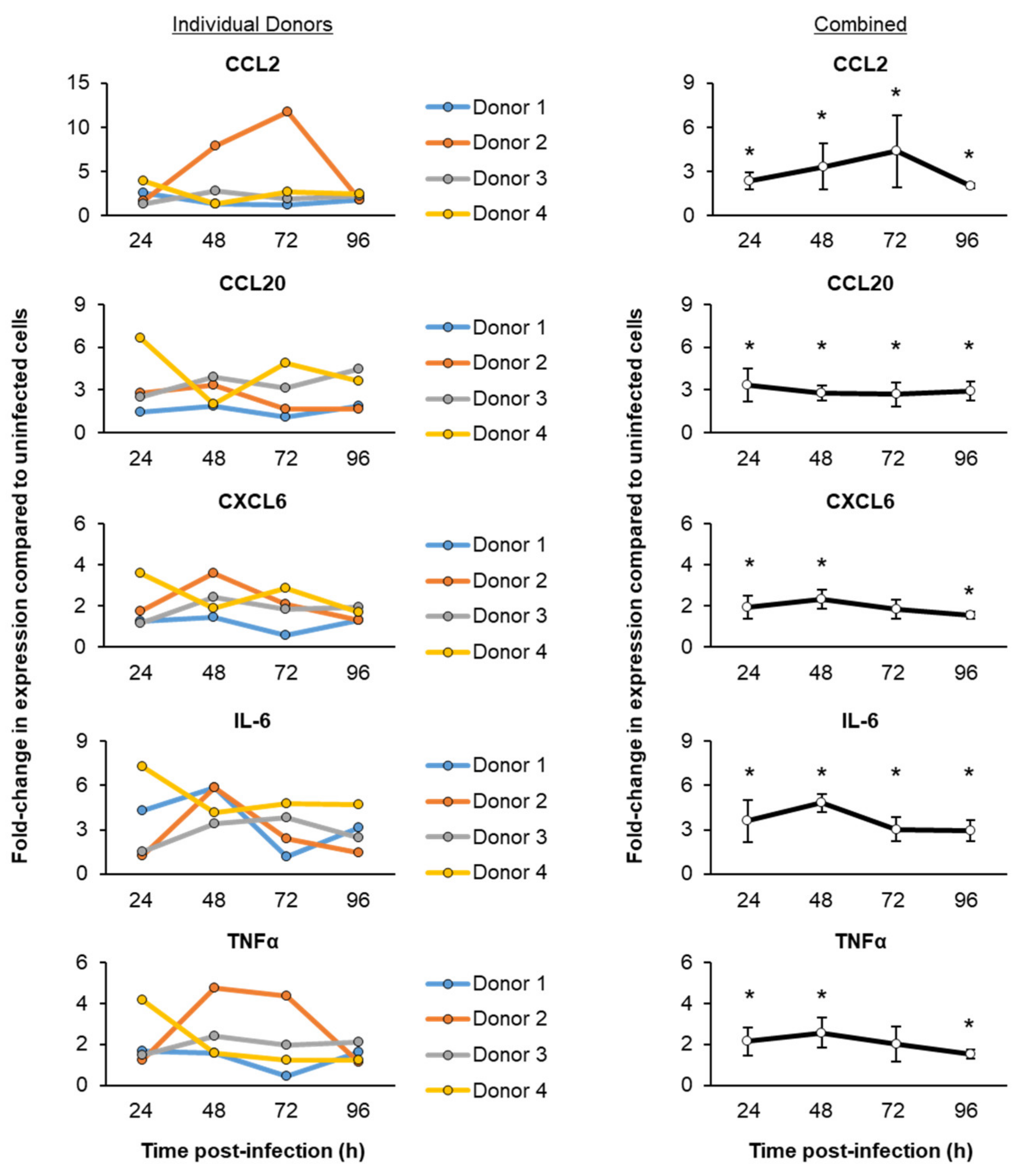 Viruses 13 01603 g002 550